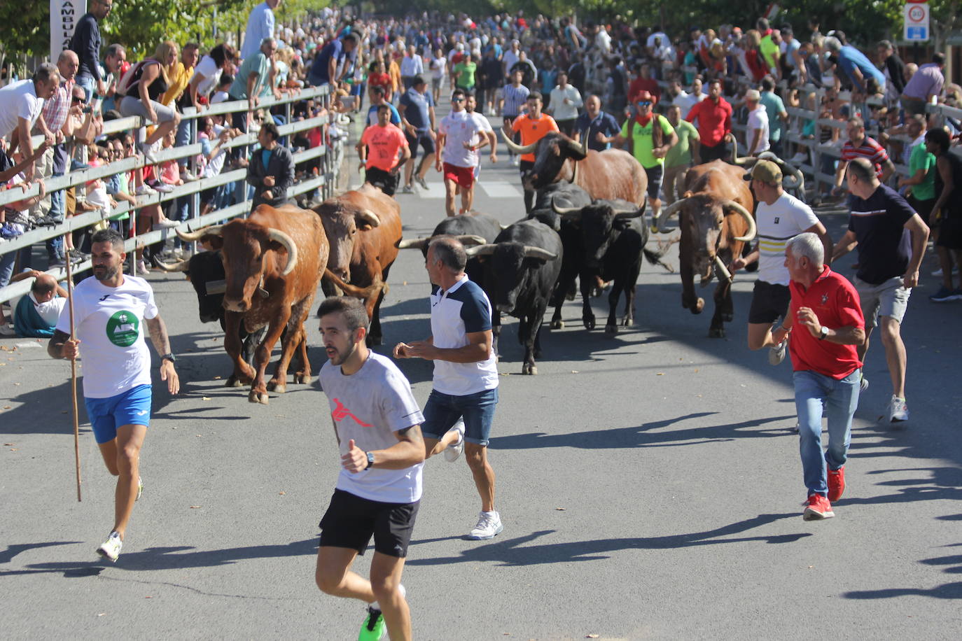 Fotos: Primer encierro de las Fiestas de Medina del Campo (2/2)