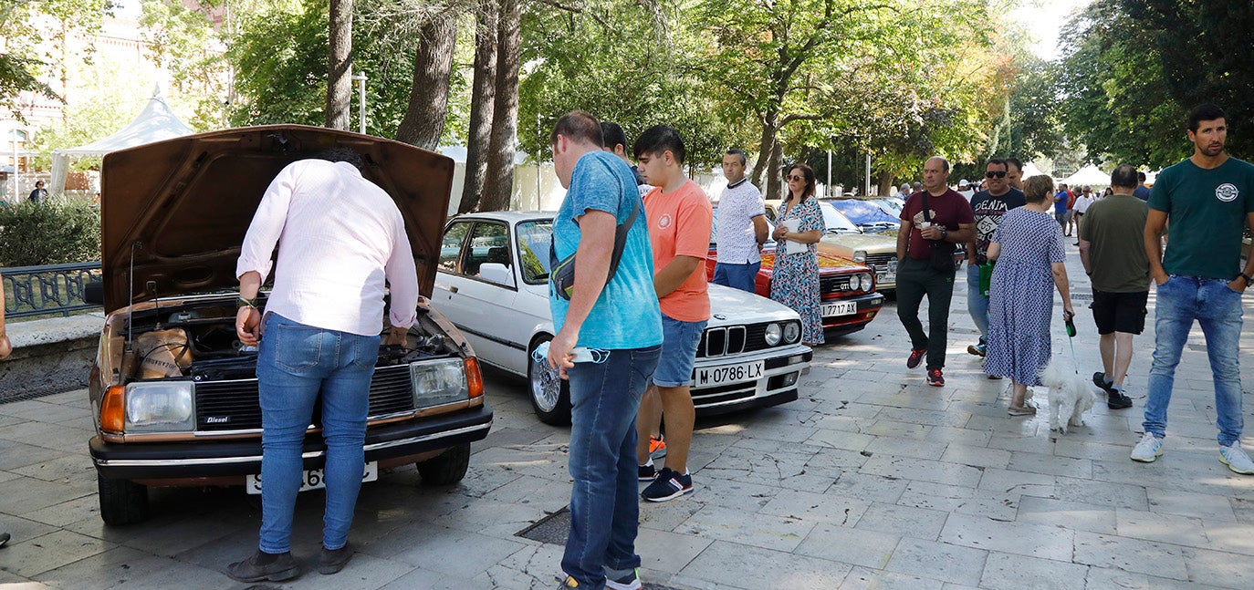 Concentración de coches clásicos en el parque del Salón