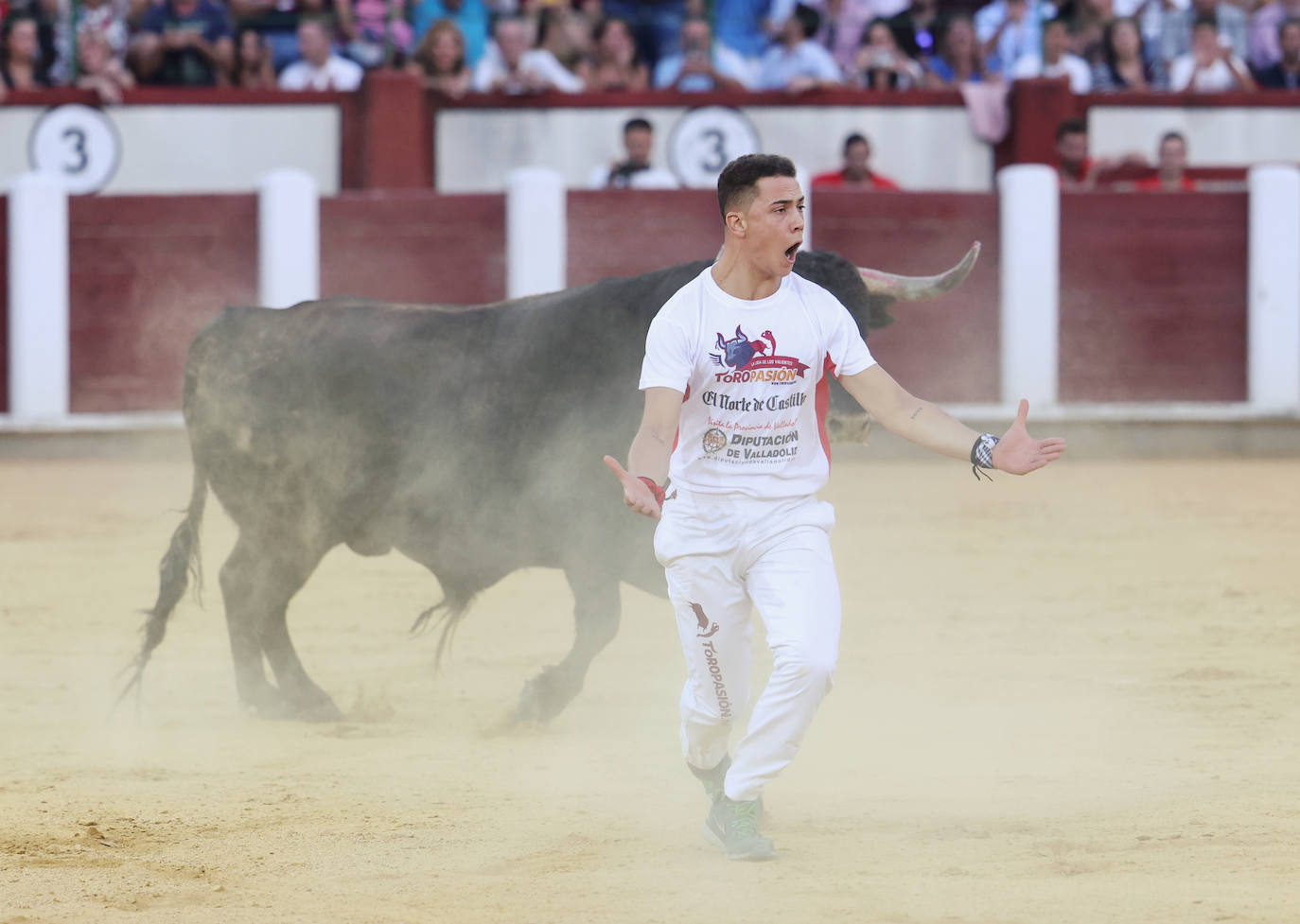 Fotos: La final de Corte Puro, en la plaza de toros de Valladolid
