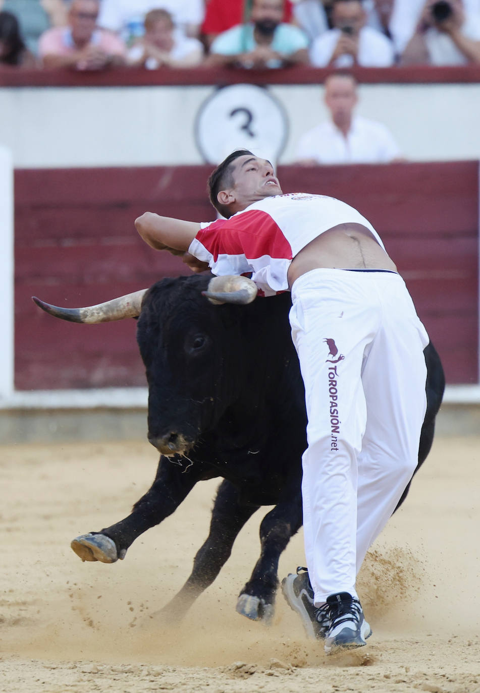 Fotos: La final de Corte Puro, en la plaza de toros de Valladolid