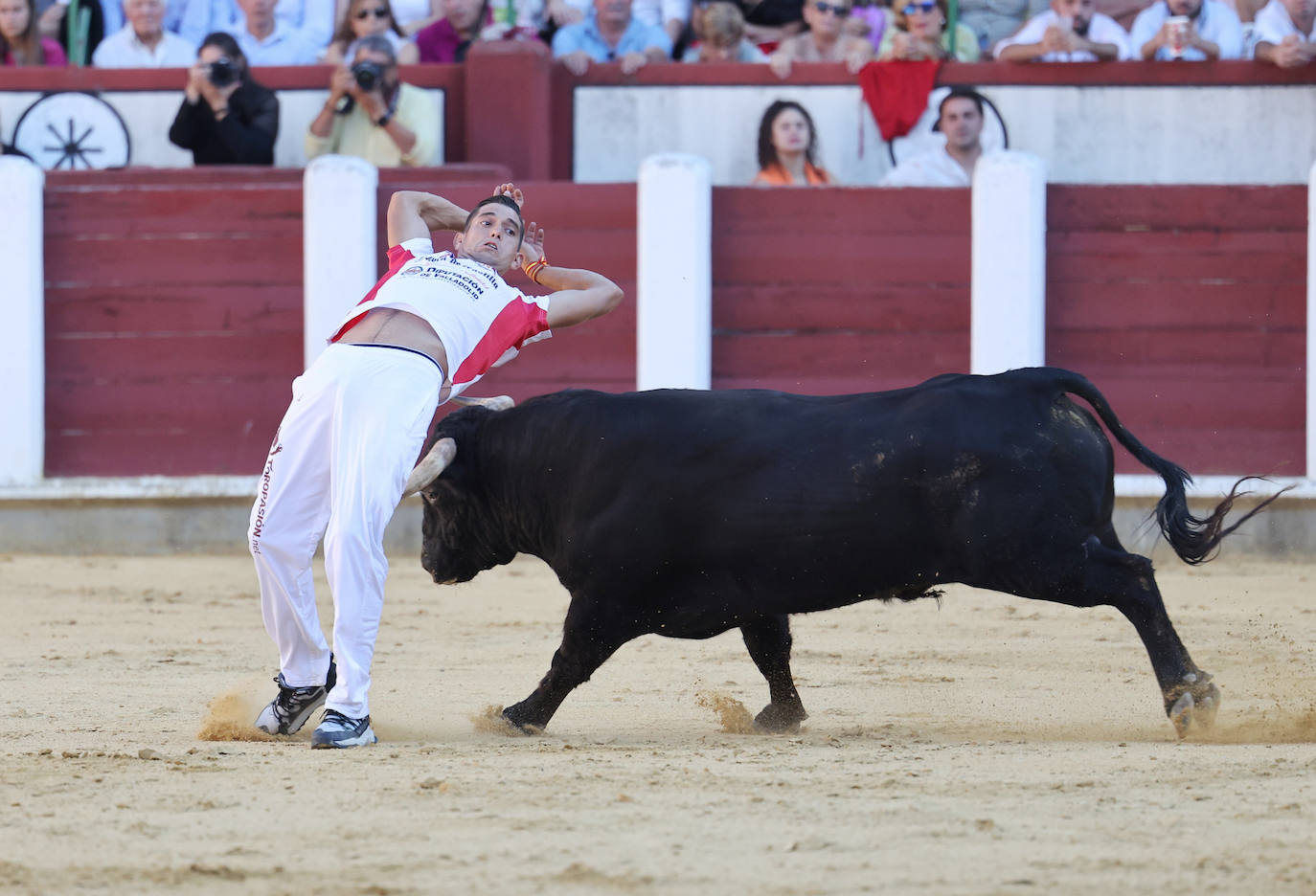 Fotos: La final de Corte Puro, en la plaza de toros de Valladolid