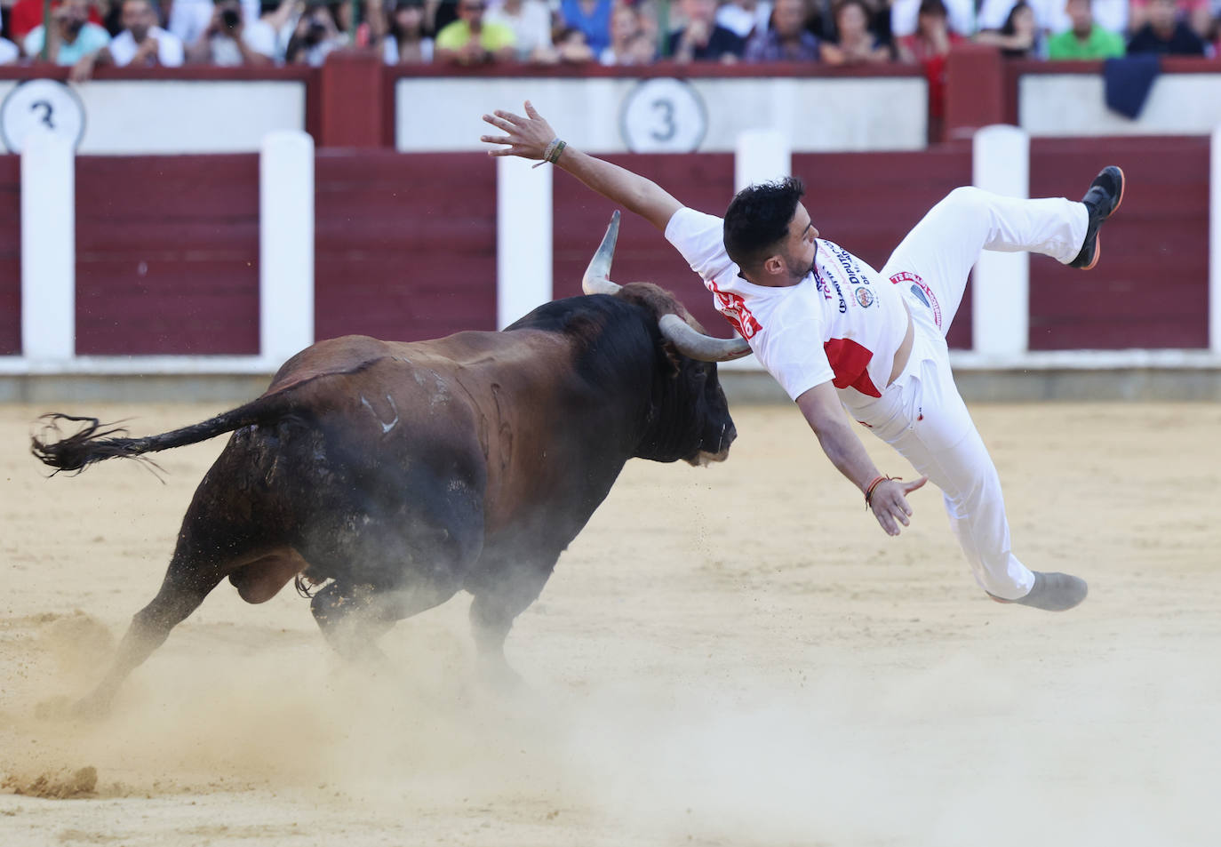 Fotos: La final de Corte Puro, en la plaza de toros de Valladolid