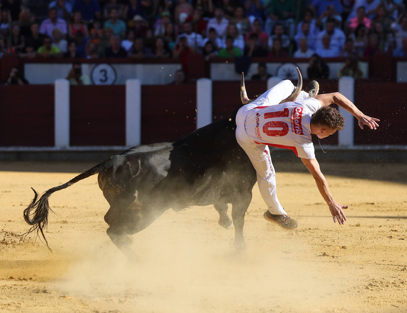 Fotos: La final de Corte Puro, en la plaza de toros de Valladolid