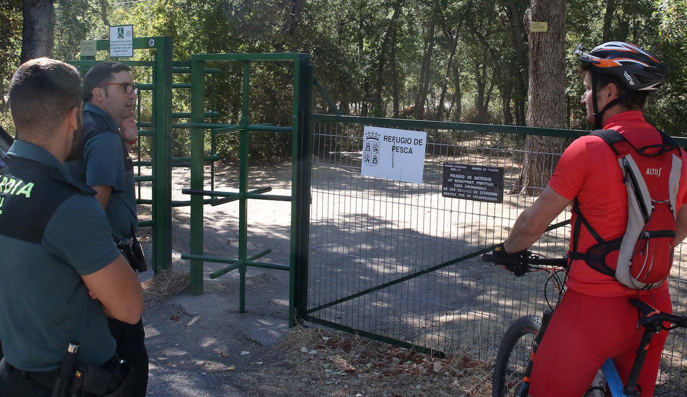 Búsqueda del toro desaparecido en los encierros de Valsaín