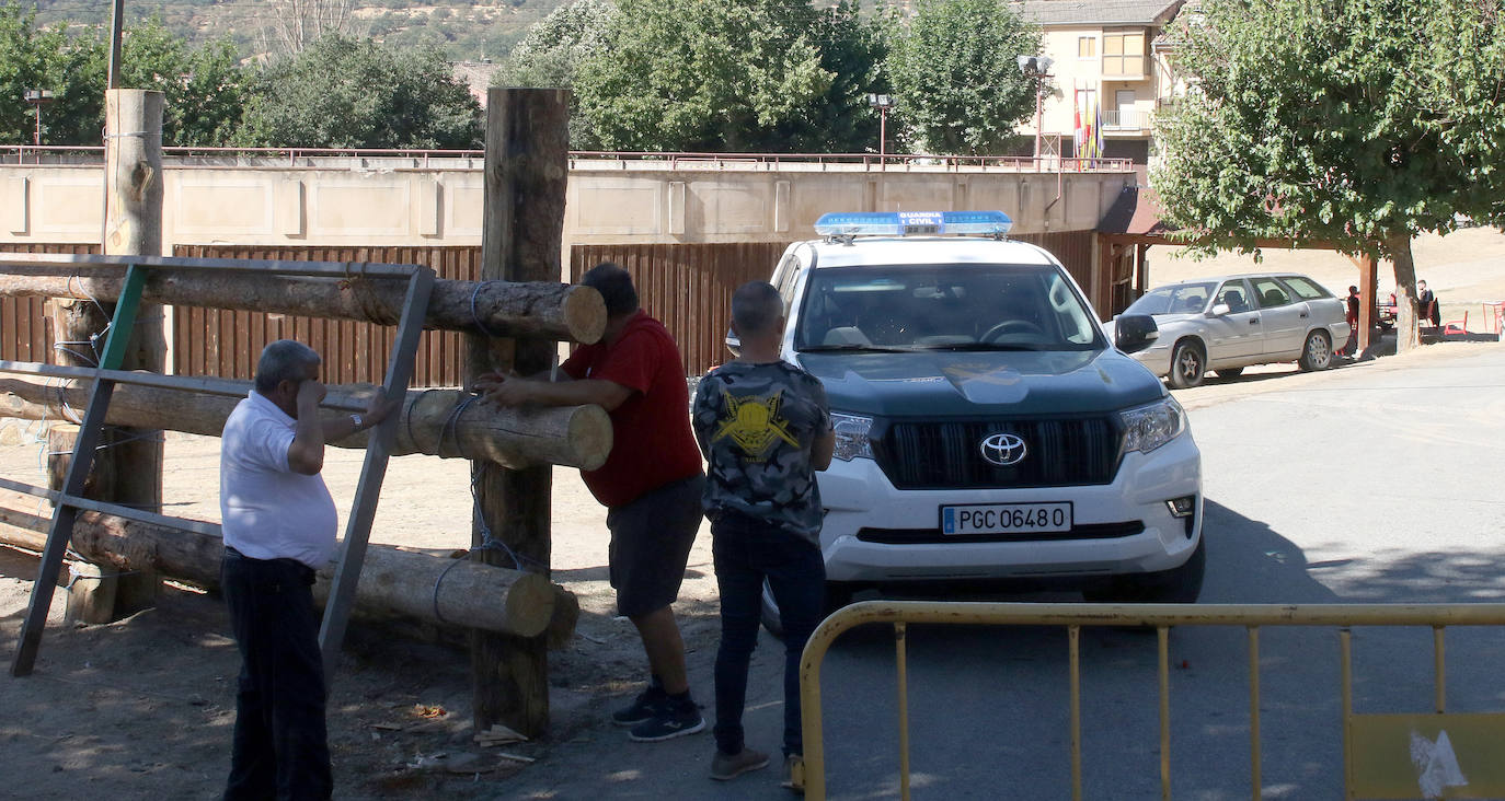 Búsqueda del toro desaparecido en los encierros de Valsaín