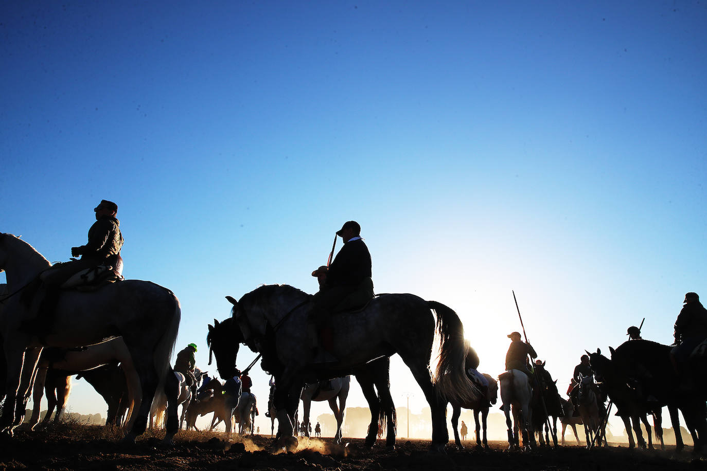 Fotos: Tercer encierro en las fiestas de San Antolín de Medina del Campo