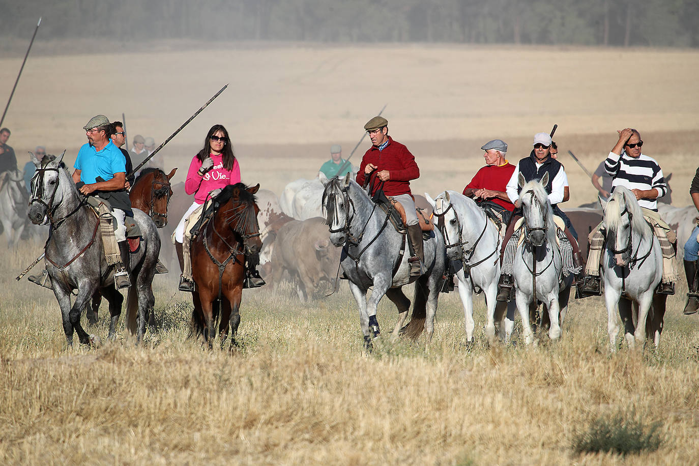 Fotos: Tercer encierro en las fiestas de San Antolín de Medina del Campo