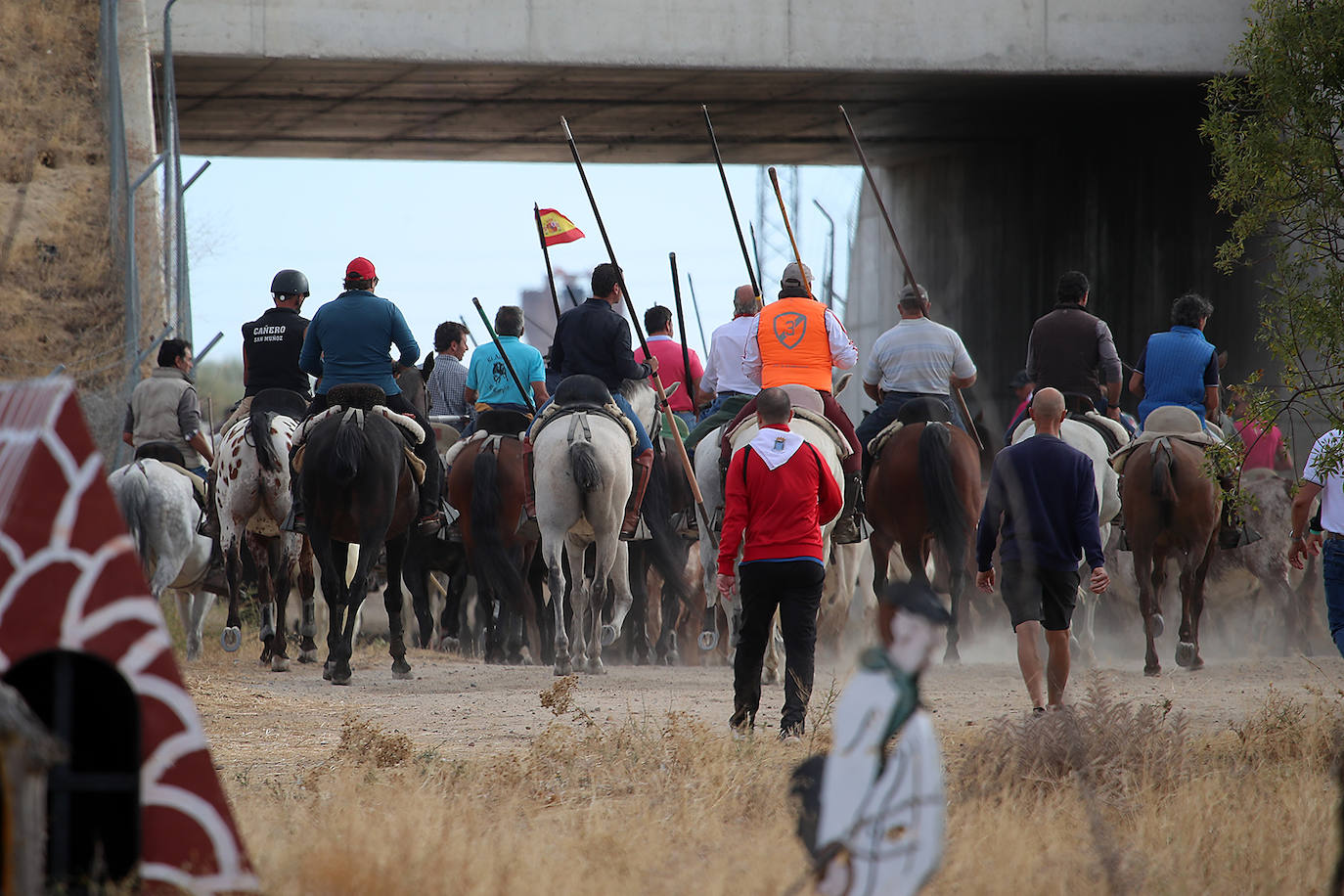 Fotos: Tercer encierro en las fiestas de San Antolín de Medina del Campo