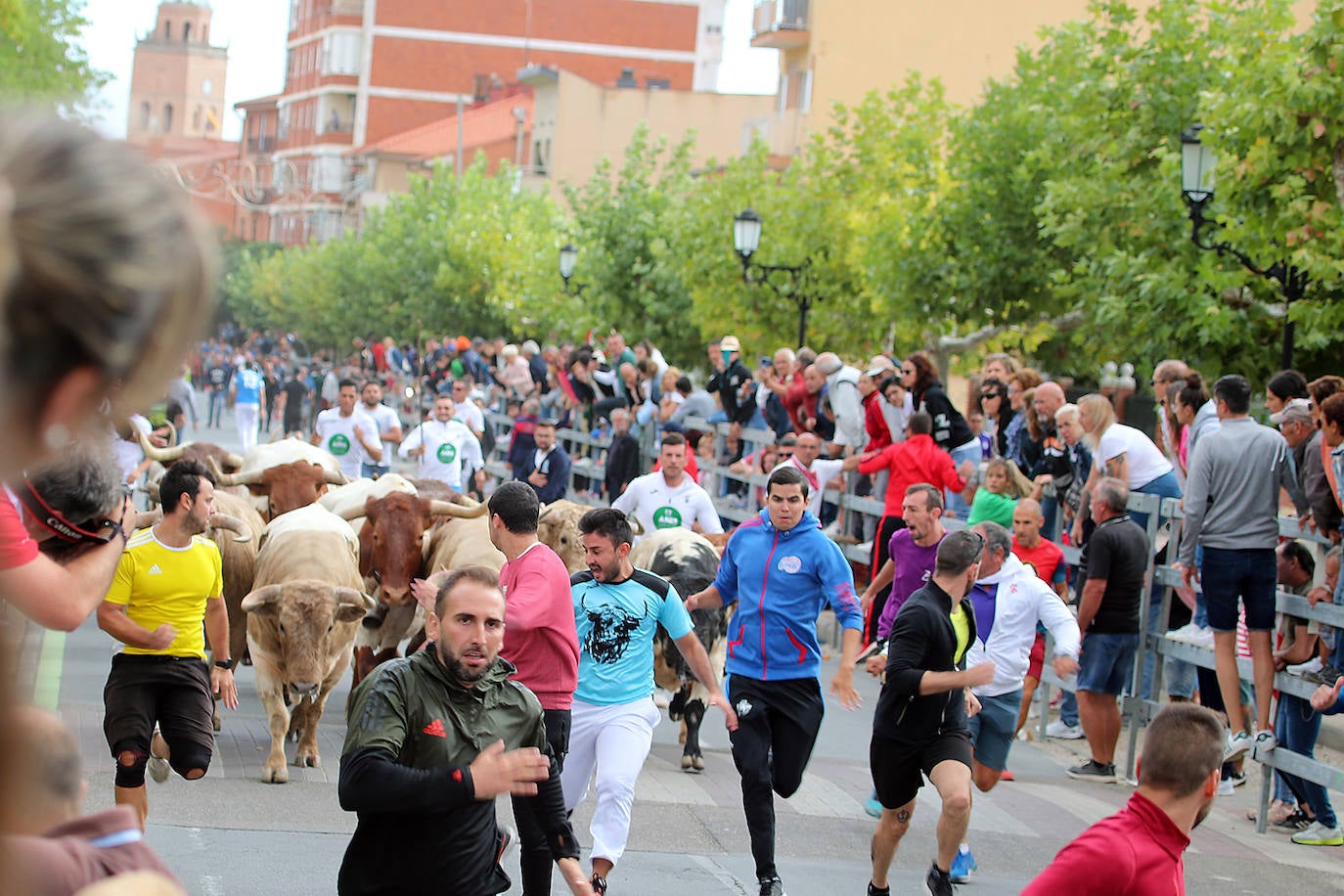 Fotos: Tercer encierro en las fiestas de San Antolín de Medina del Campo