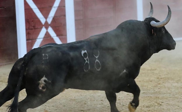 El alcalde de Tordesillas ve «fuera de lugar» la petición de Vox de volver a alancear al Toro de la Vega 