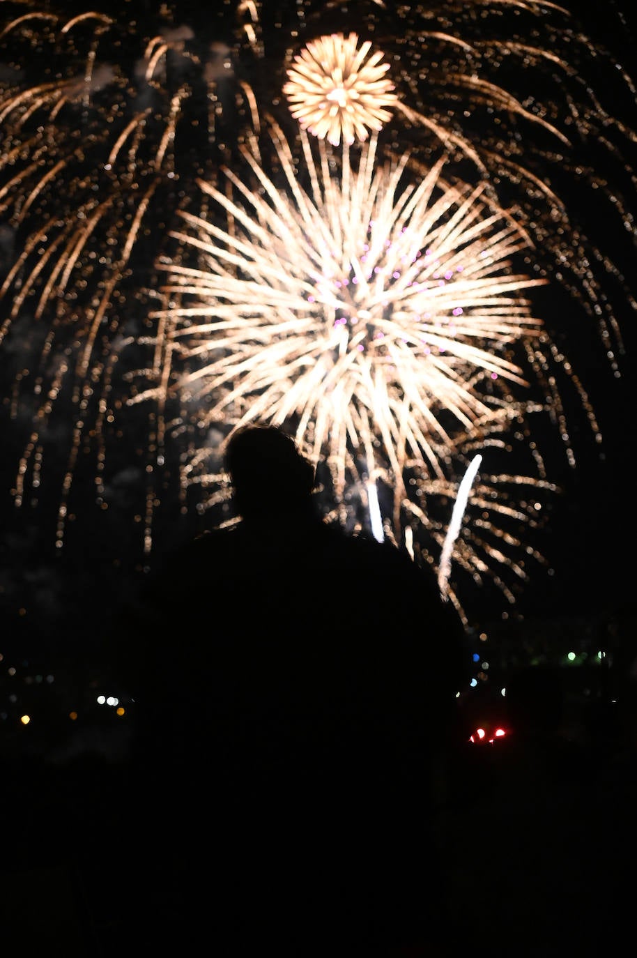 Fotos: Los fuegos artificiales del miécoles, en imágenes