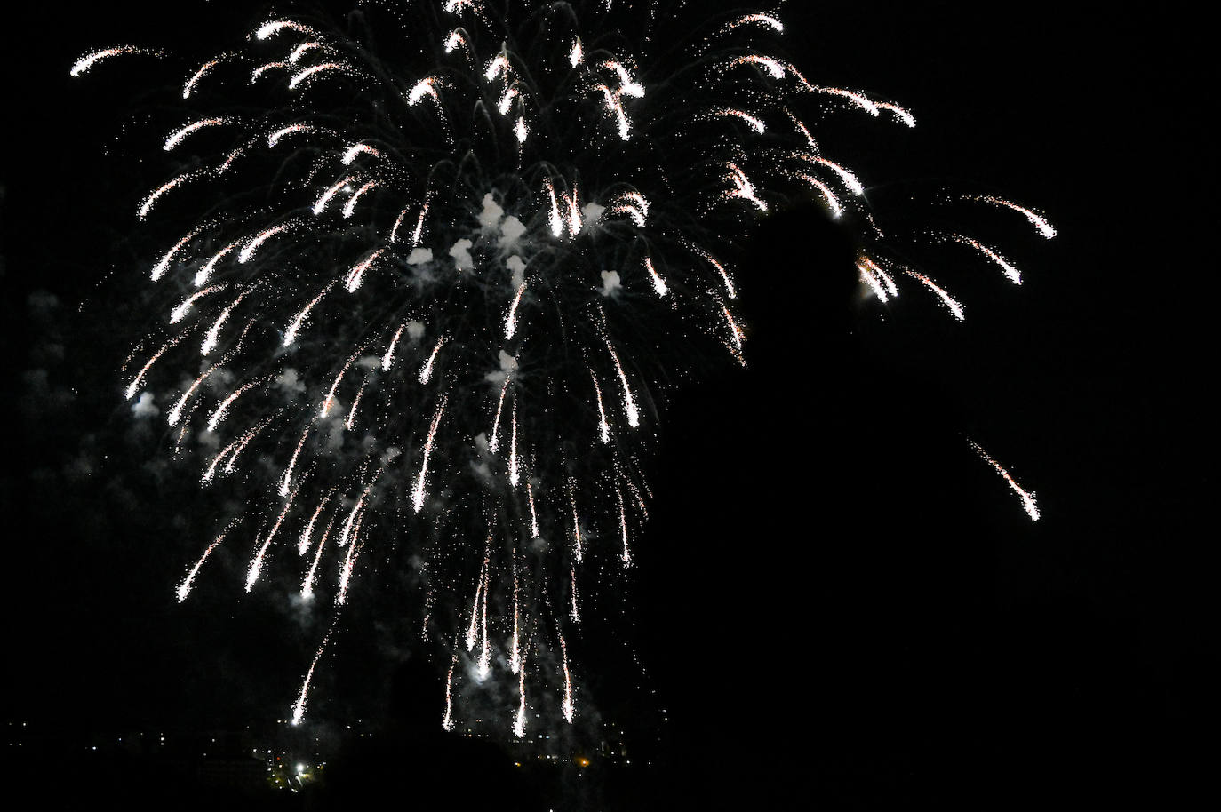 Fotos: Los fuegos artificiales del miécoles, en imágenes