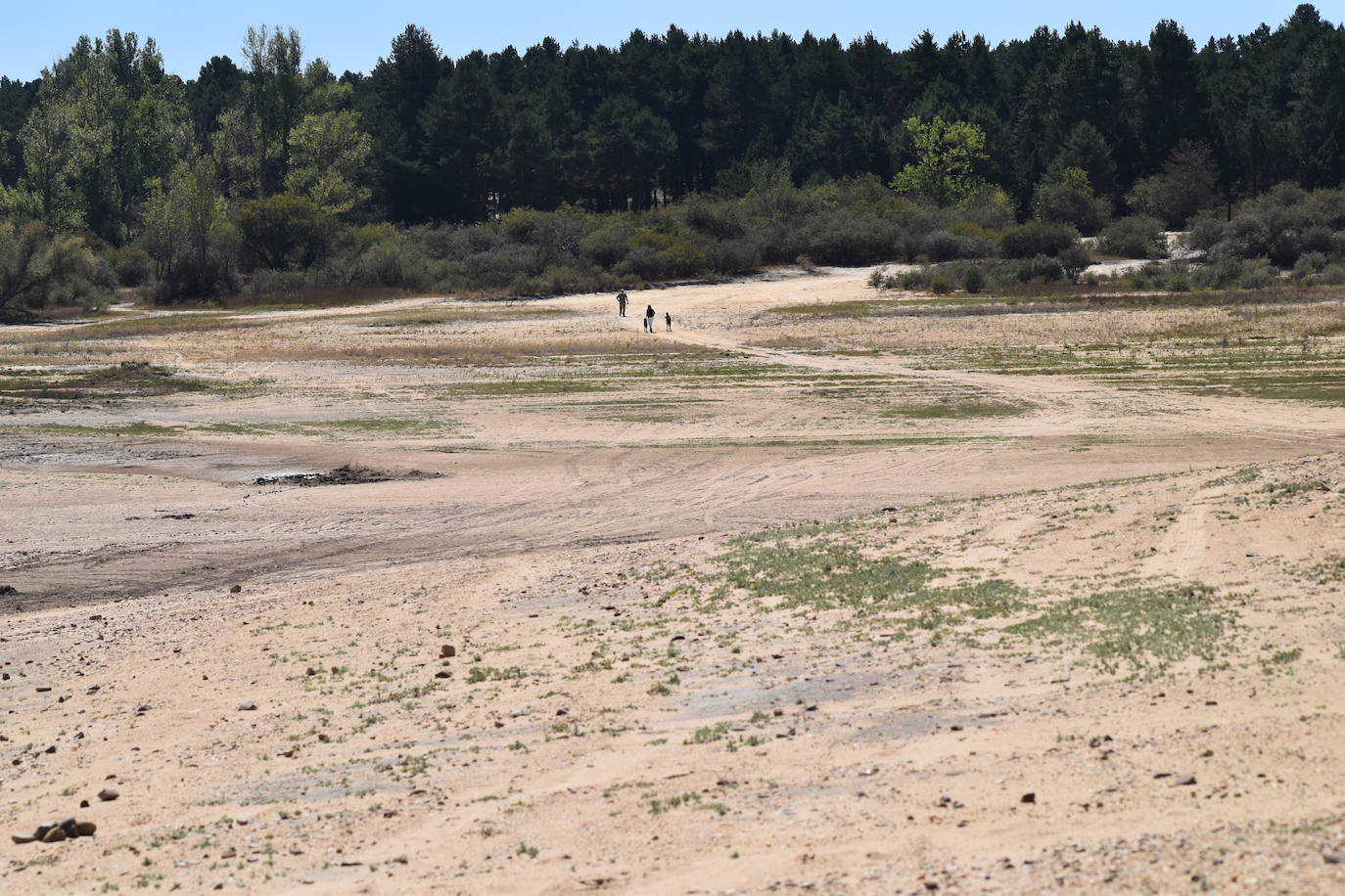 La información hidrológica de la provincia de Palencia se vuelve cada día más dramática.