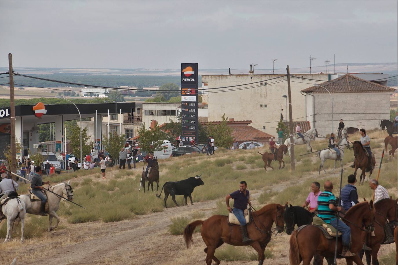 Fotos: Encierro mixto en Portillo (2/2)