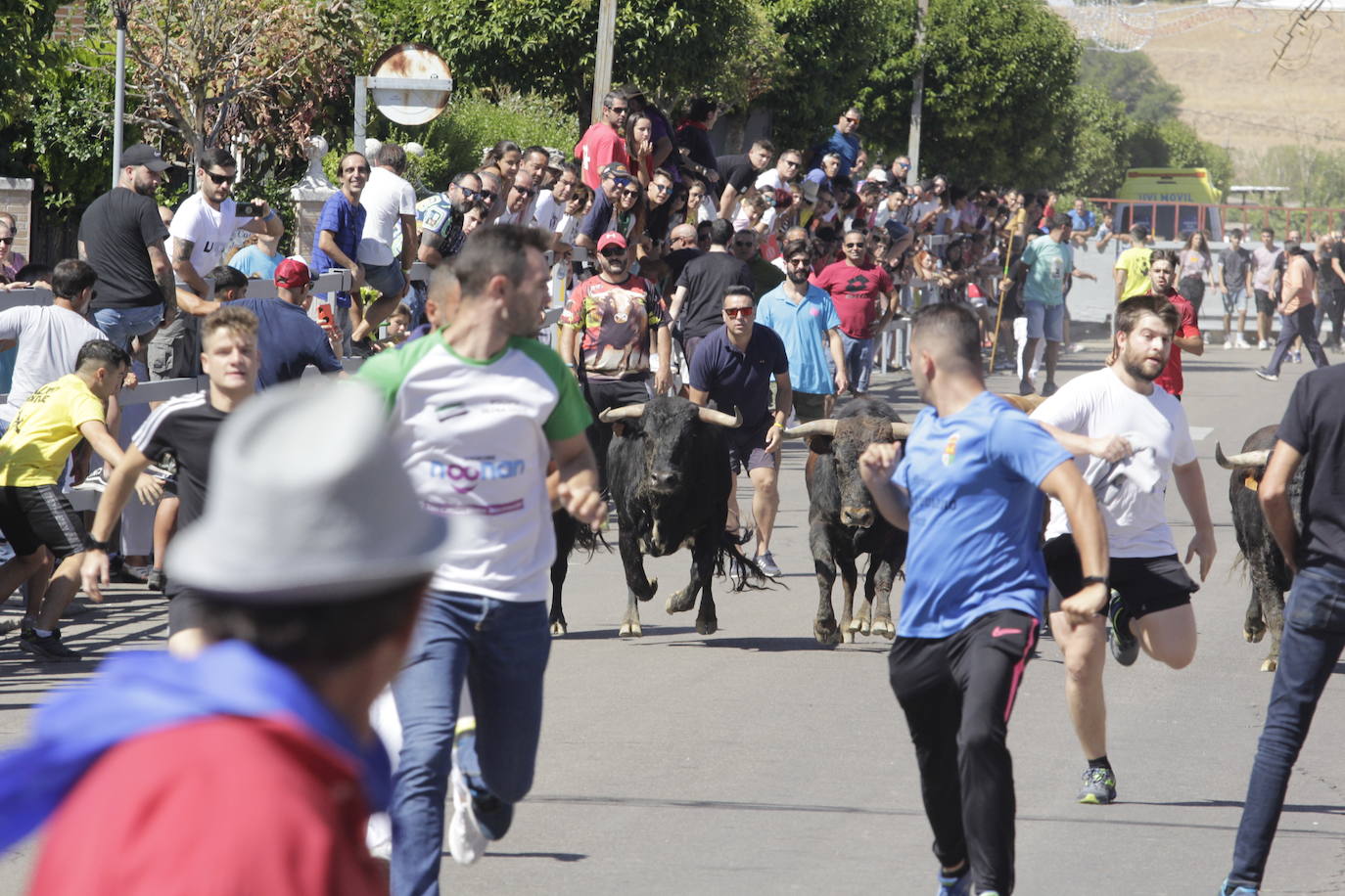 Fotos: Encierro y novillada en Laguna de Duero durante la jornada del domingo