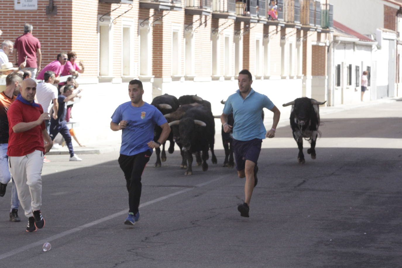 Fotos: Encierro y novillada en Laguna de Duero durante la jornada del domingo