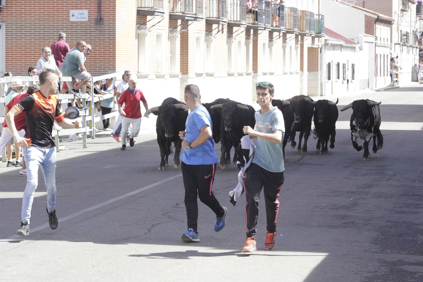 Fotos: Encierro y novillada en Laguna de Duero durante la jornada del domingo