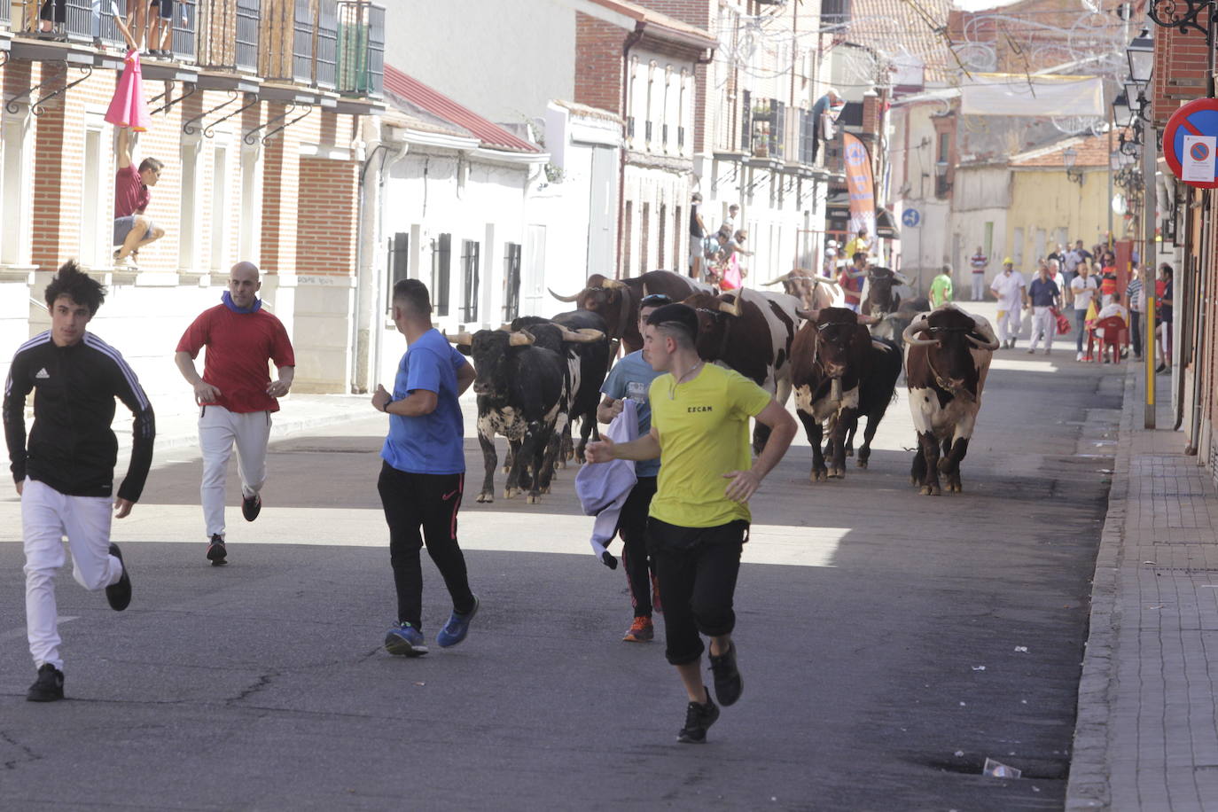 Fotos: Encierro y novillada en Laguna de Duero durante la jornada del domingo