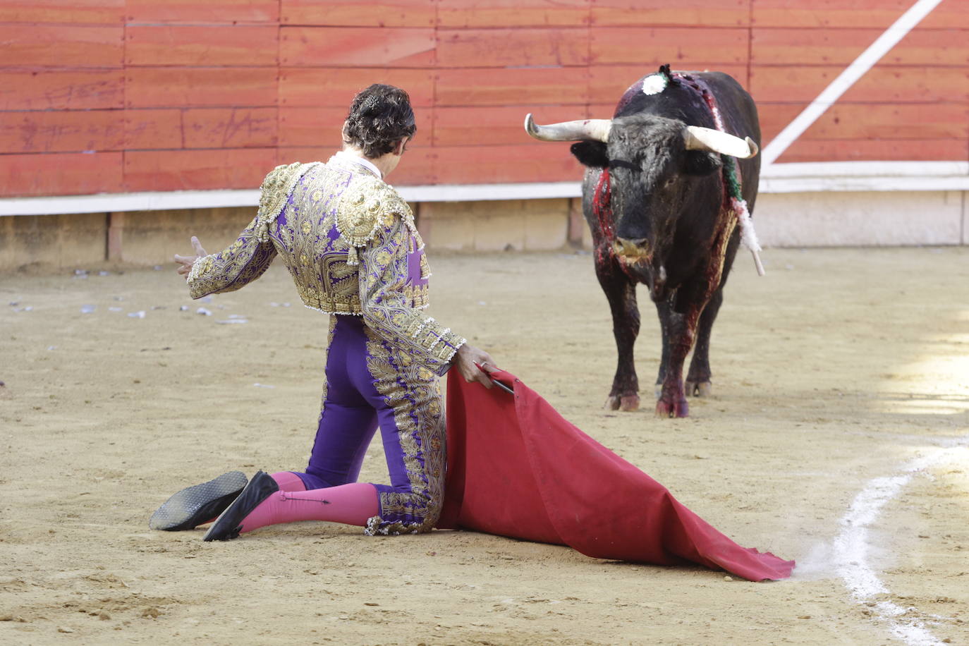 Fotos: Encierro y novillada en Laguna de Duero durante la jornada del domingo