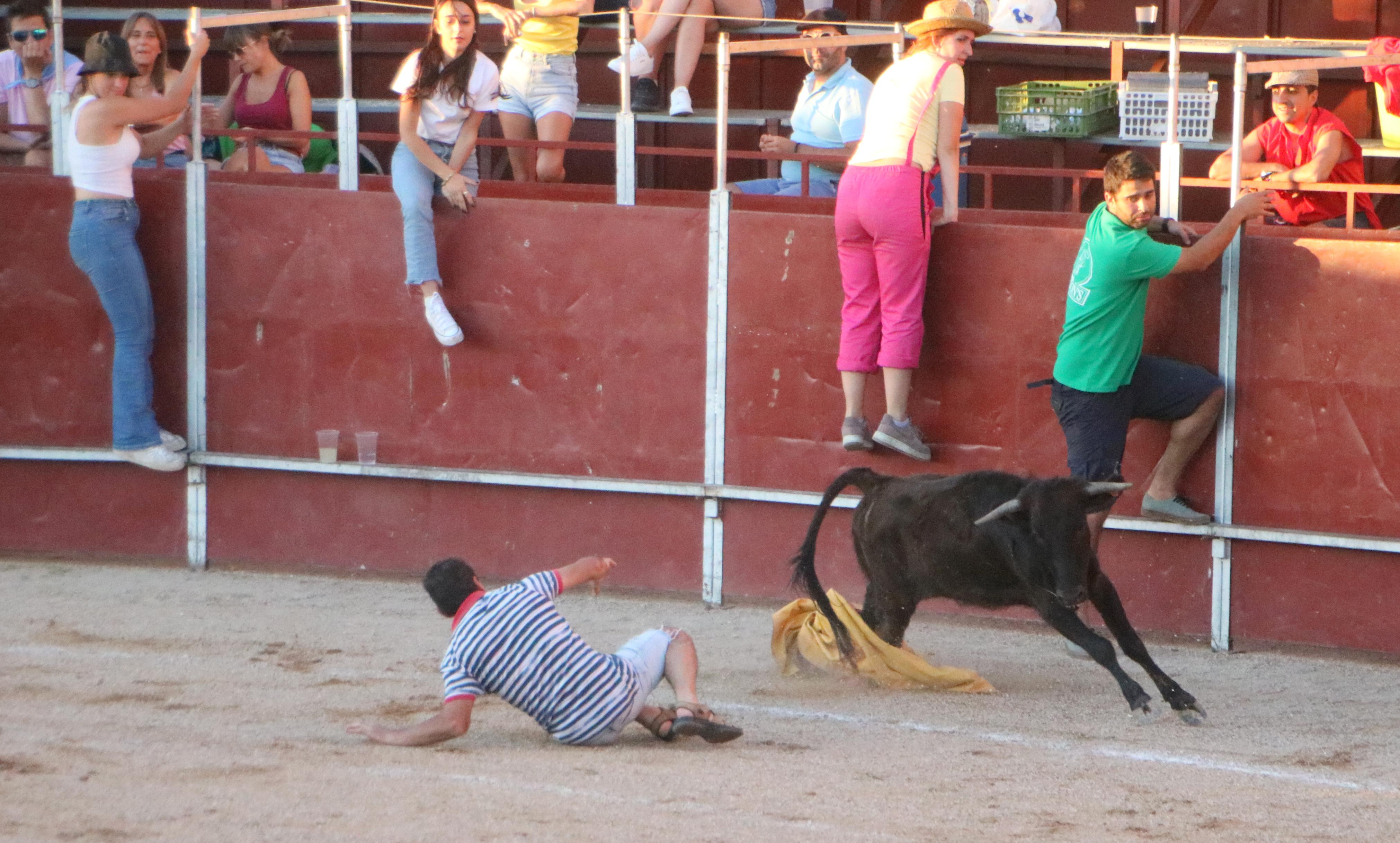 Baltanás celebra unos animados festejos taurinos con motivo de sus fiestas de la Virgen de Revilla