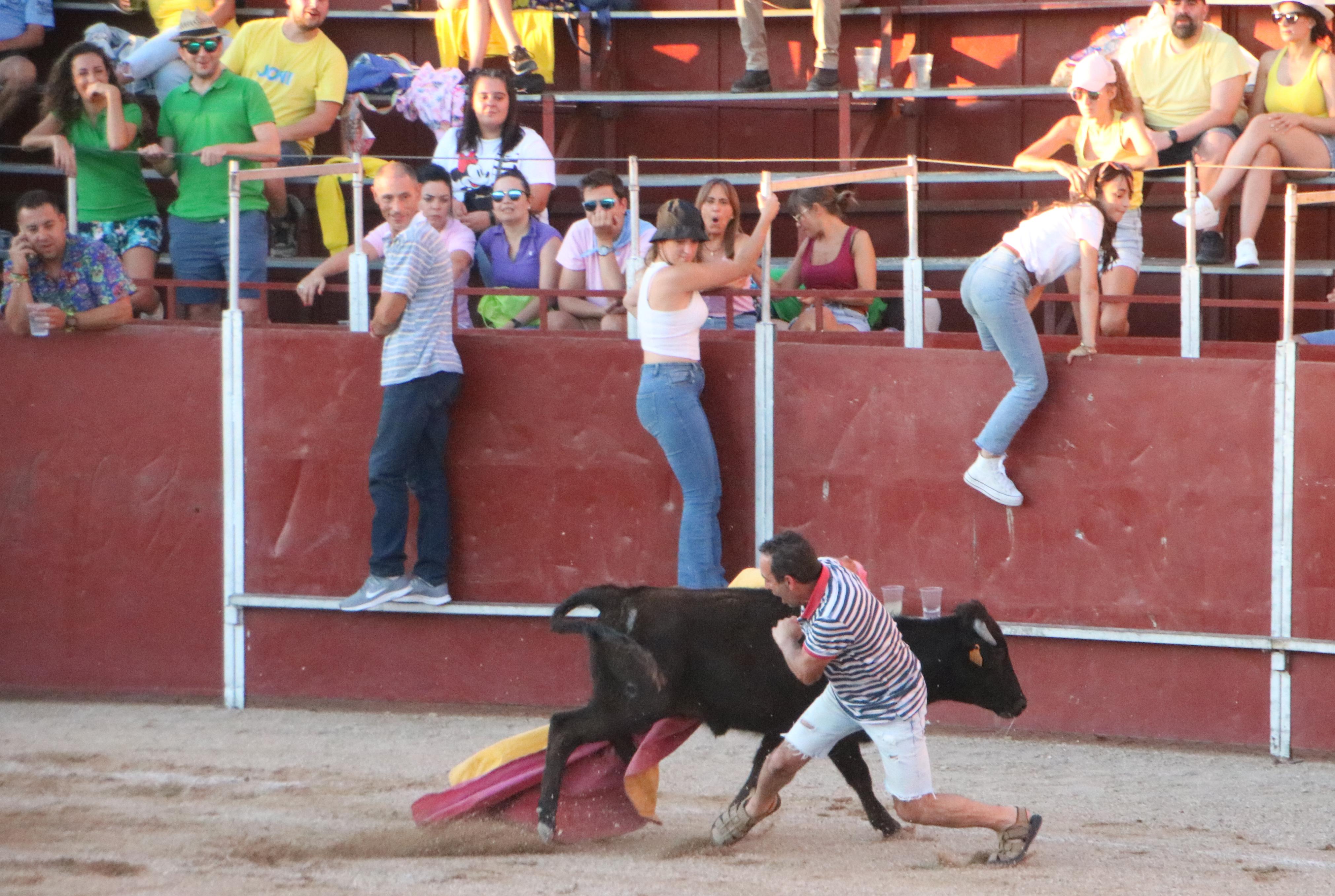 Baltanás celebra unos animados festejos taurinos con motivo de sus fiestas de la Virgen de Revilla