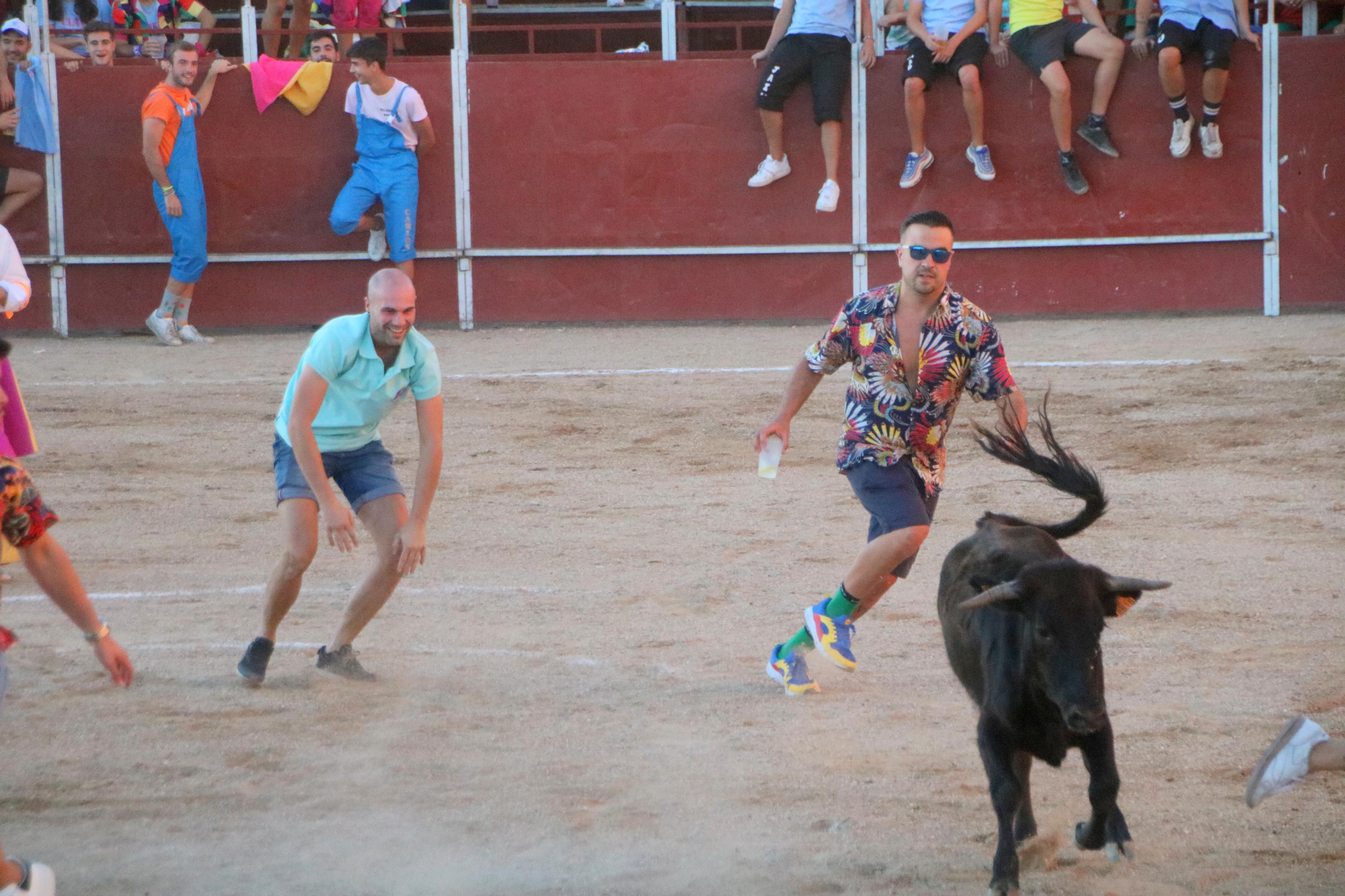 Baltanás celebra unos animados festejos taurinos con motivo de sus fiestas de la Virgen de Revilla