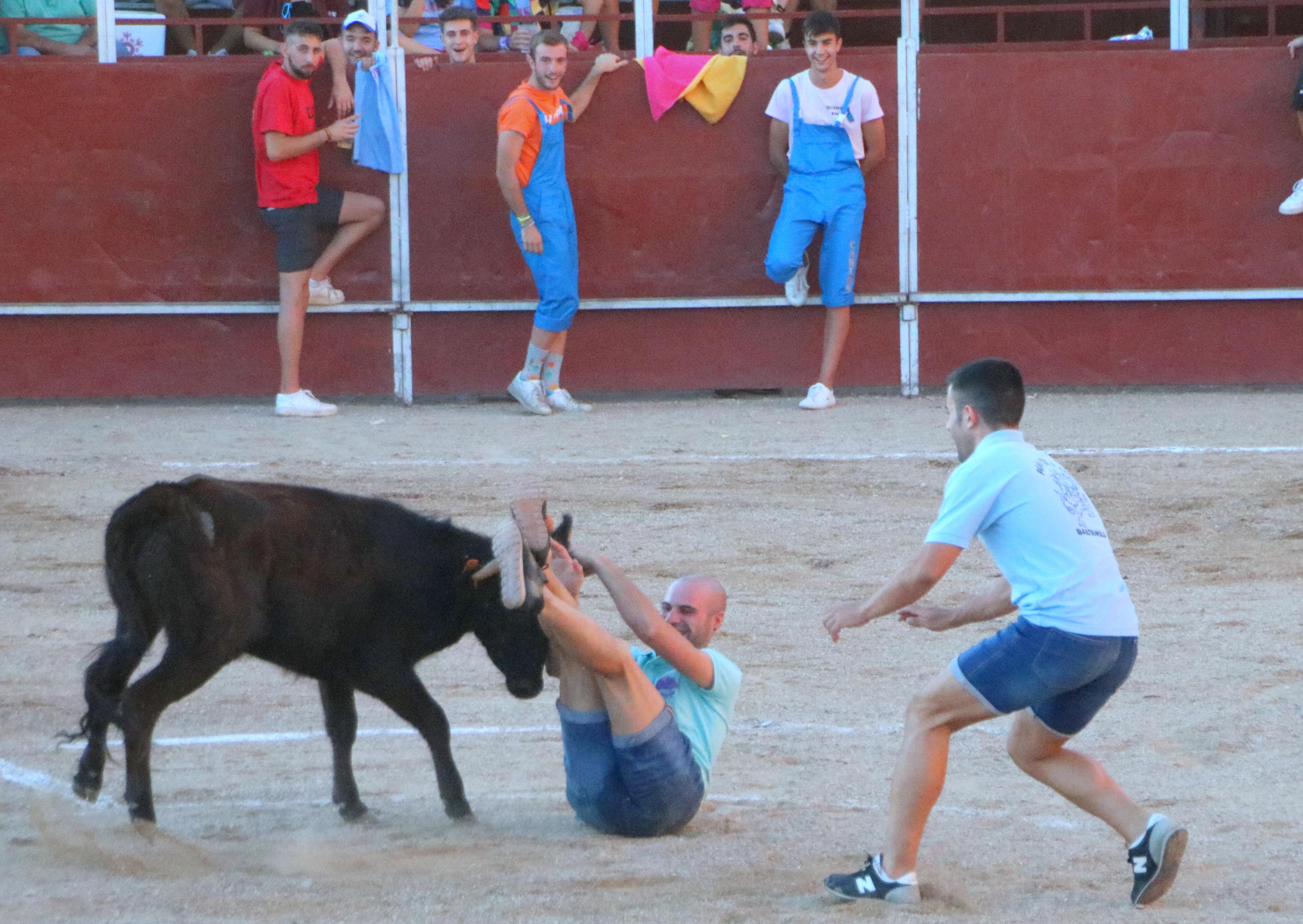 Baltanás celebra unos animados festejos taurinos con motivo de sus fiestas de la Virgen de Revilla