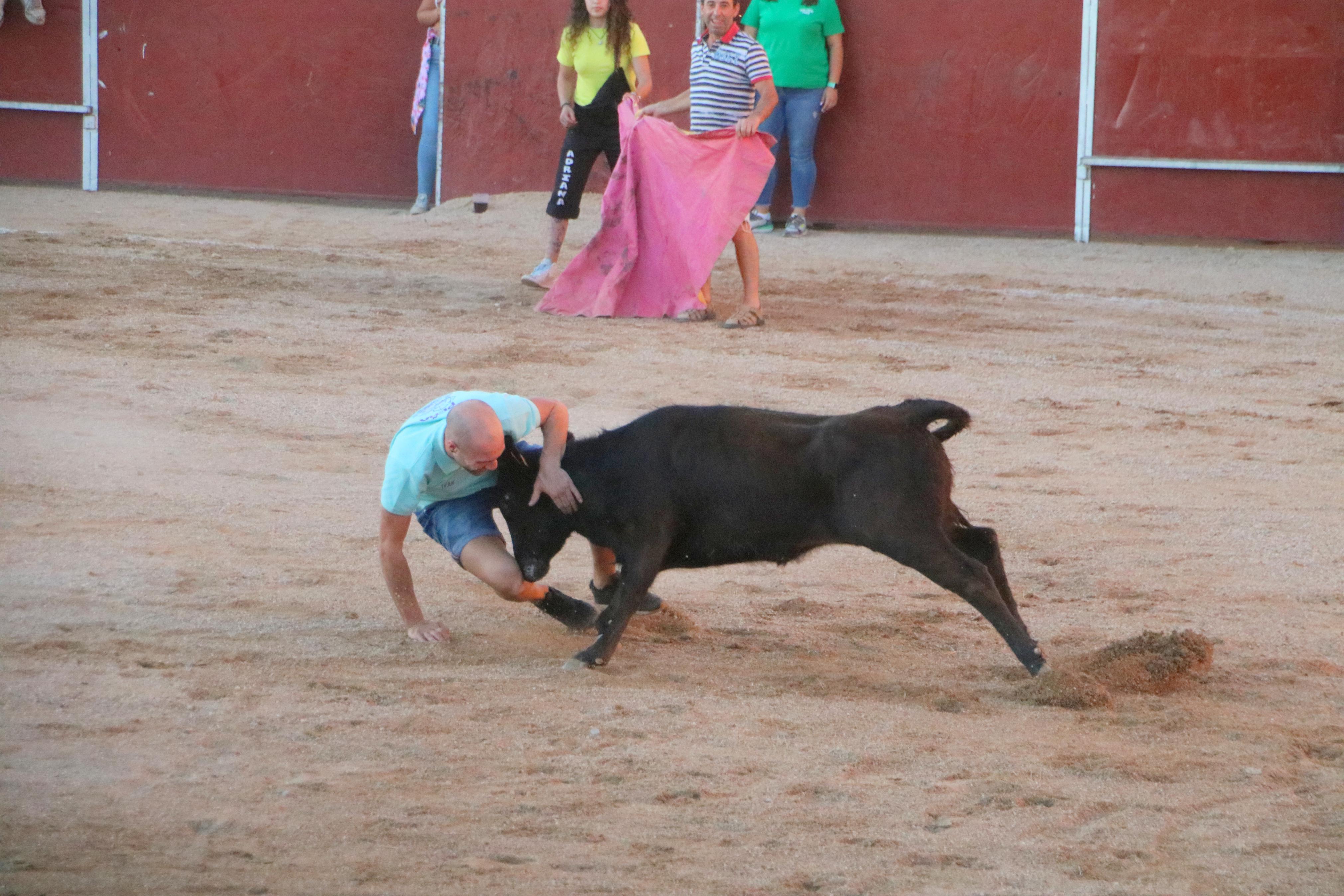 Baltanás celebra unos animados festejos taurinos con motivo de sus fiestas de la Virgen de Revilla