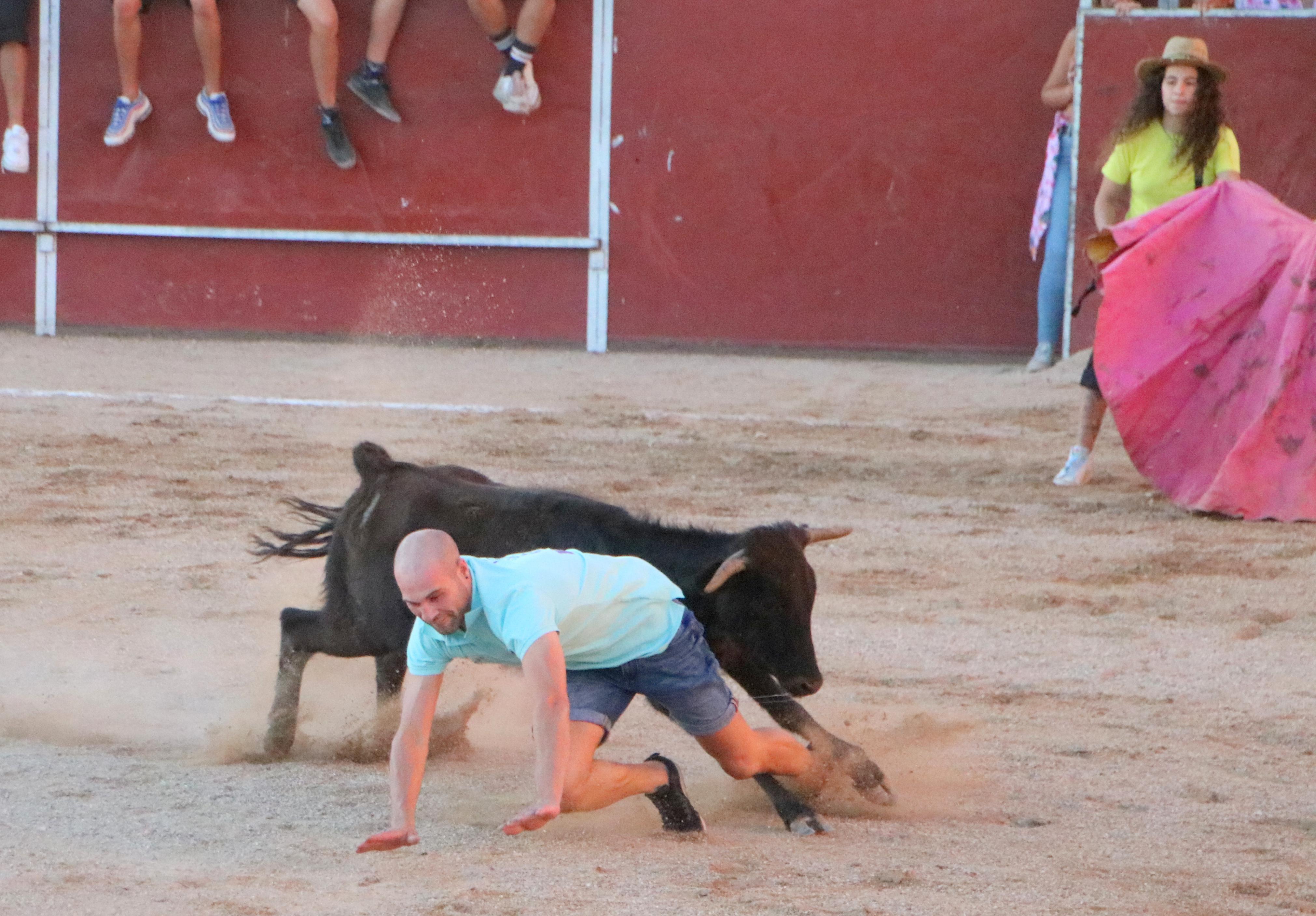 Baltanás celebra unos animados festejos taurinos con motivo de sus fiestas de la Virgen de Revilla