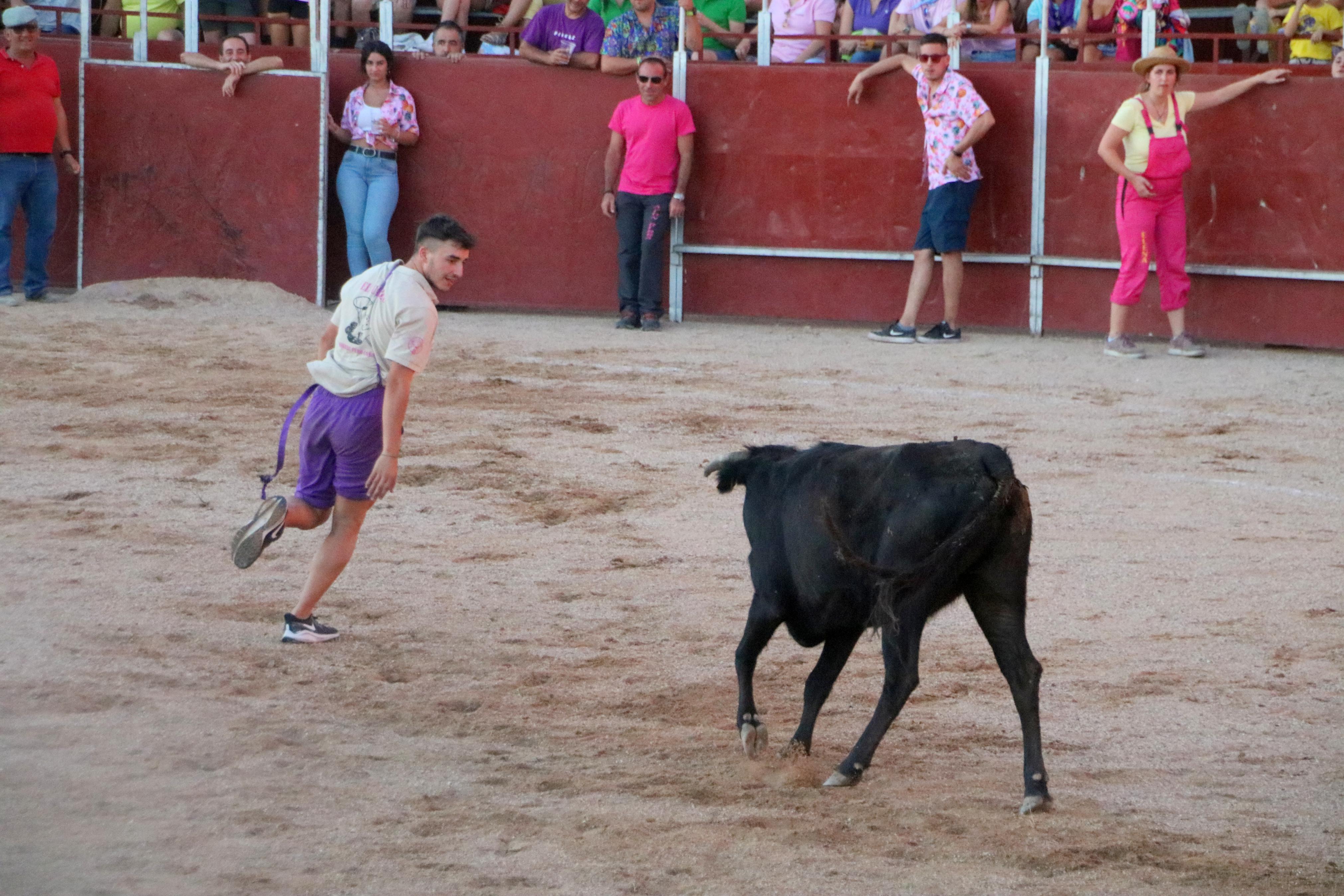 Baltanás celebra unos animados festejos taurinos con motivo de sus fiestas de la Virgen de Revilla