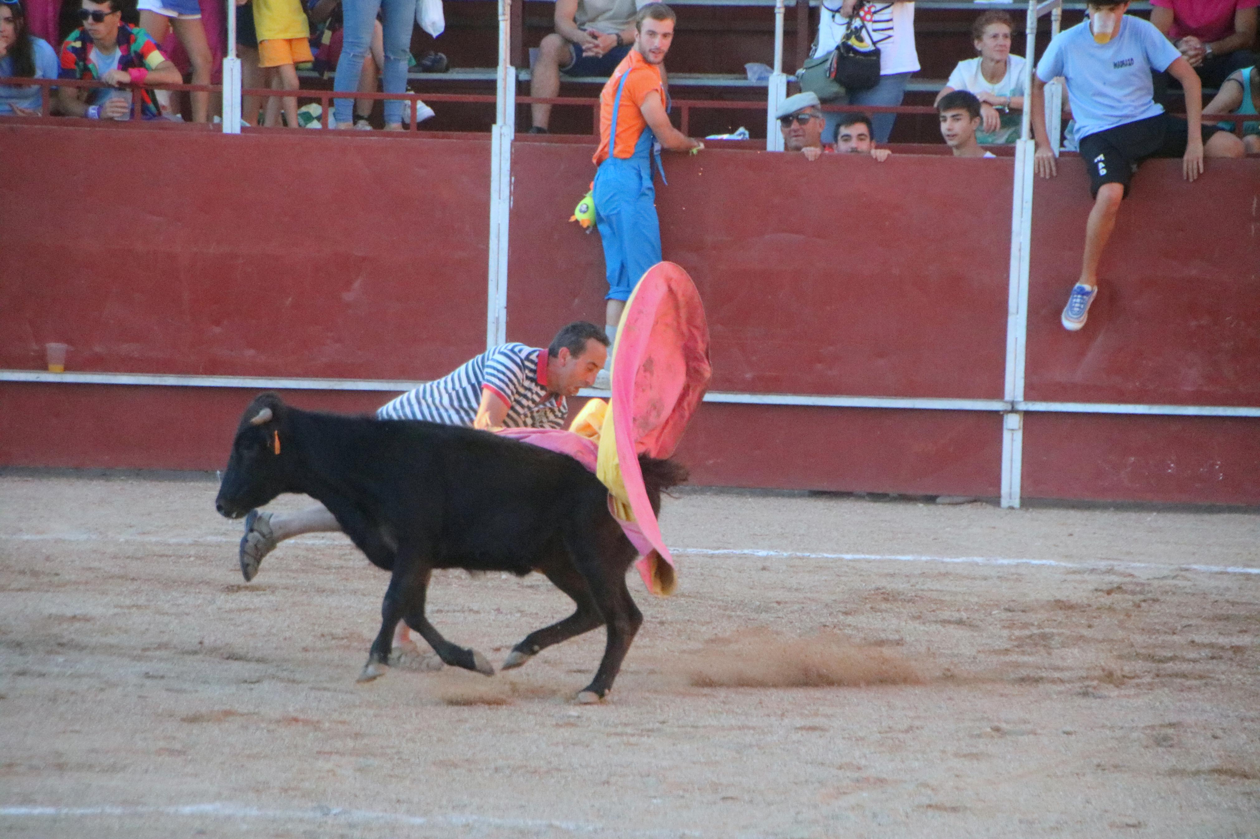 Baltanás celebra unos animados festejos taurinos con motivo de sus fiestas de la Virgen de Revilla