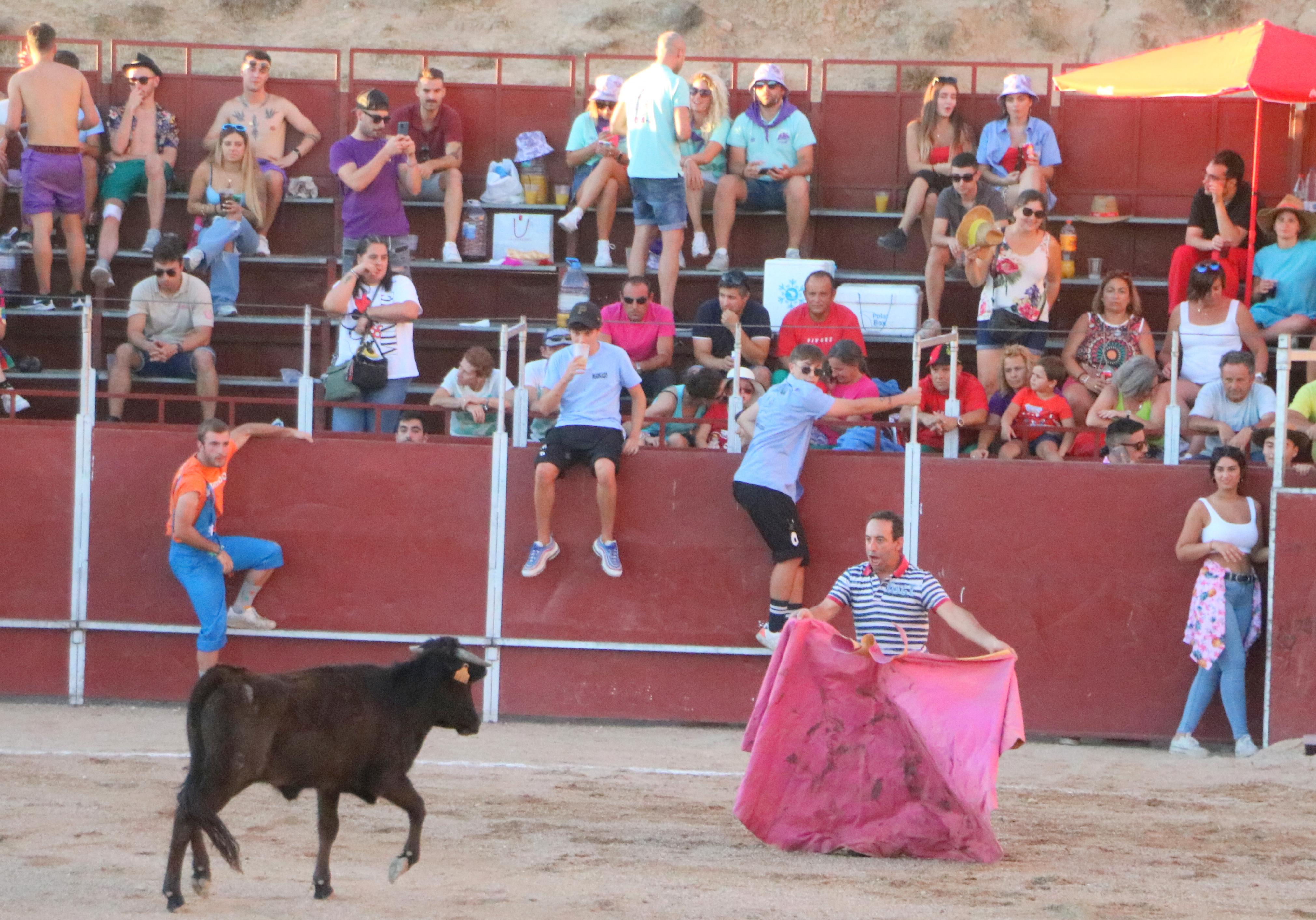 Baltanás celebra unos animados festejos taurinos con motivo de sus fiestas de la Virgen de Revilla