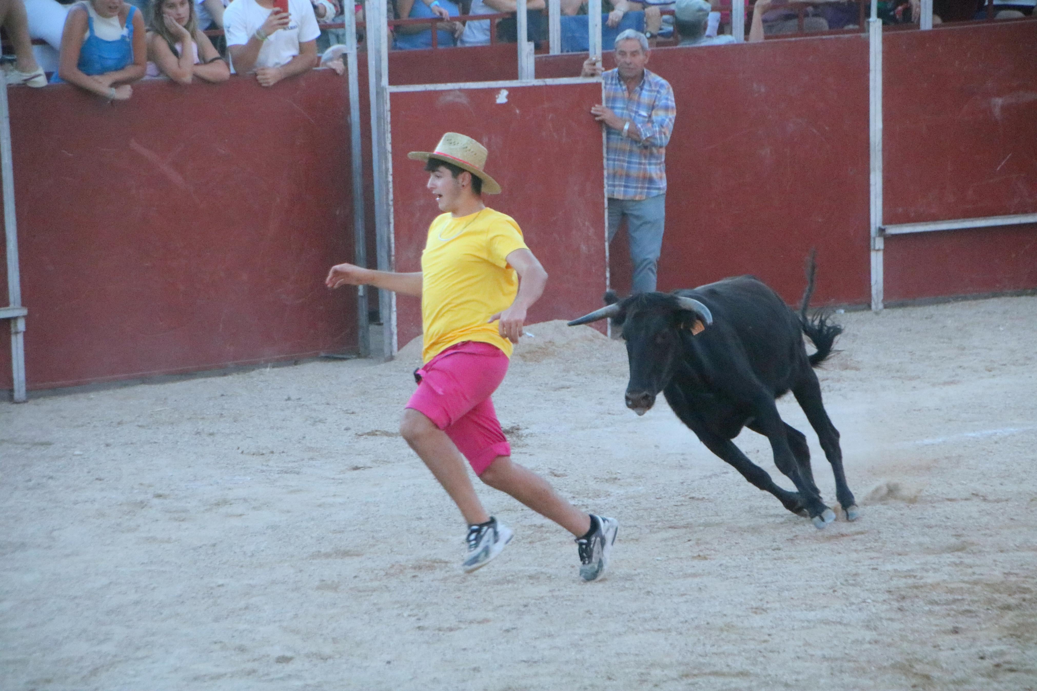 Baltanás celebra unos animados festejos taurinos con motivo de sus fiestas de la Virgen de Revilla