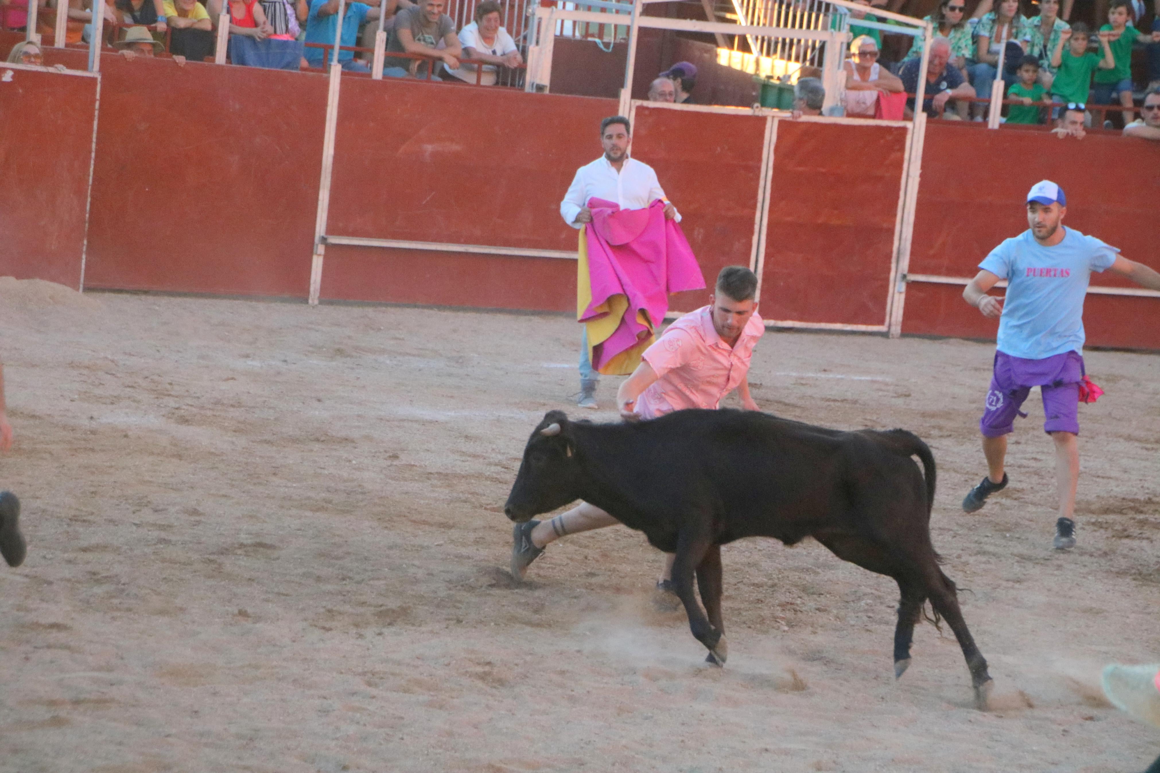 Baltanás celebra unos animados festejos taurinos con motivo de sus fiestas de la Virgen de Revilla