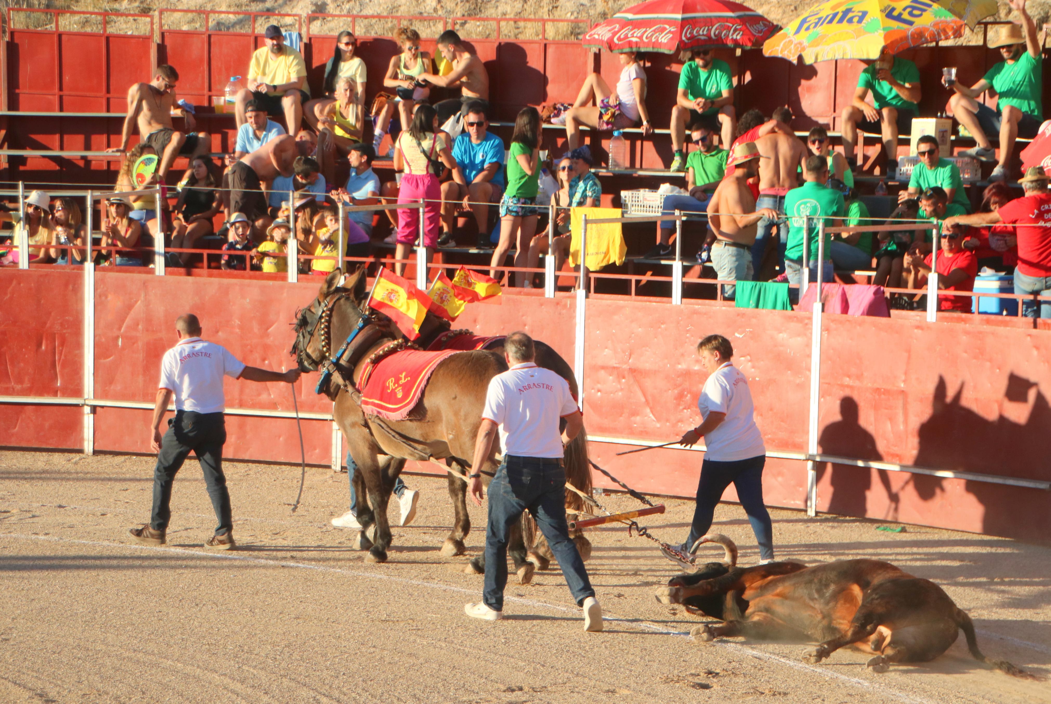 Baltanás celebra unos animados festejos taurinos con motivo de sus fiestas de la Virgen de Revilla