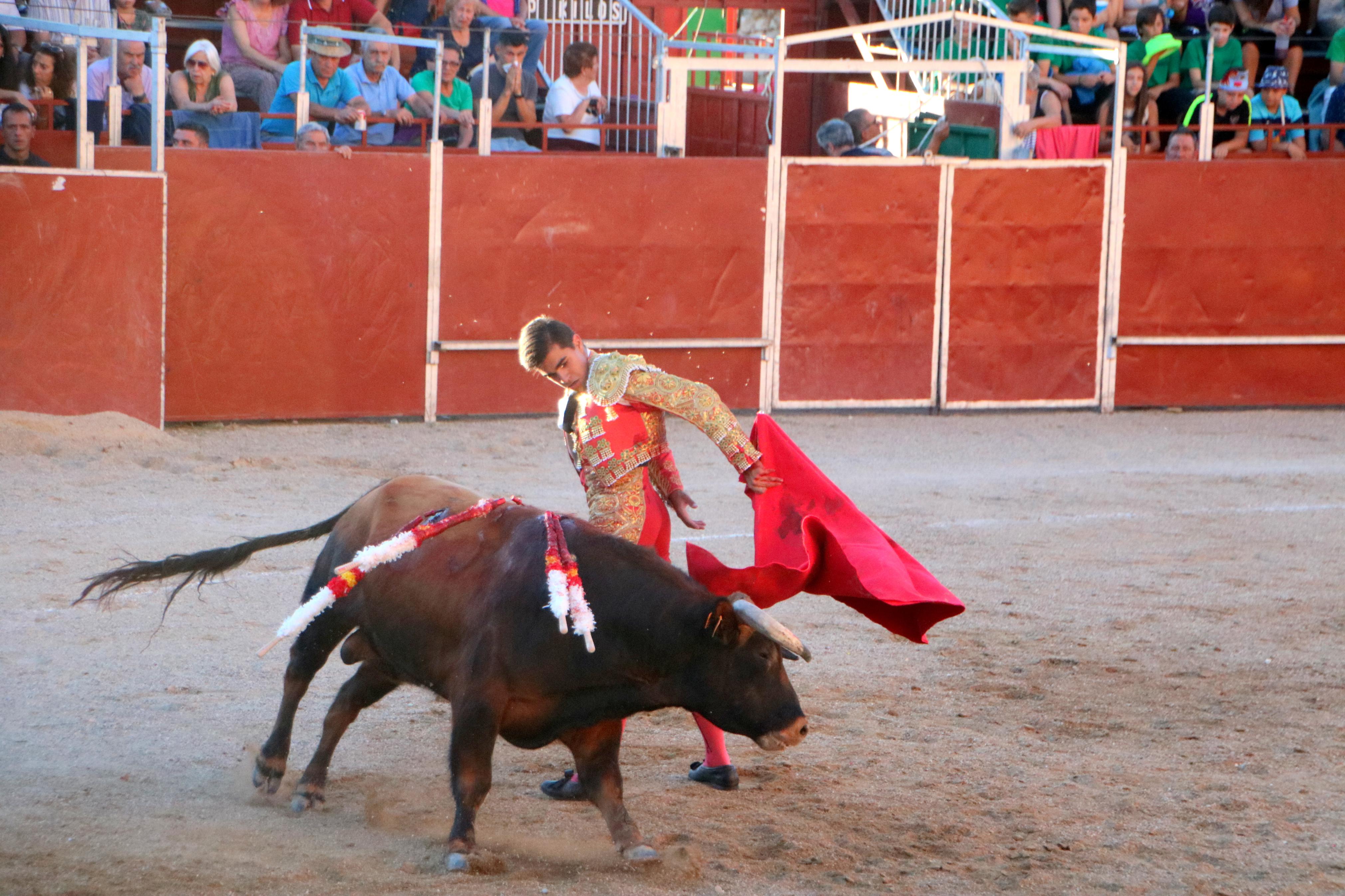 Baltanás celebra unos animados festejos taurinos con motivo de sus fiestas de la Virgen de Revilla