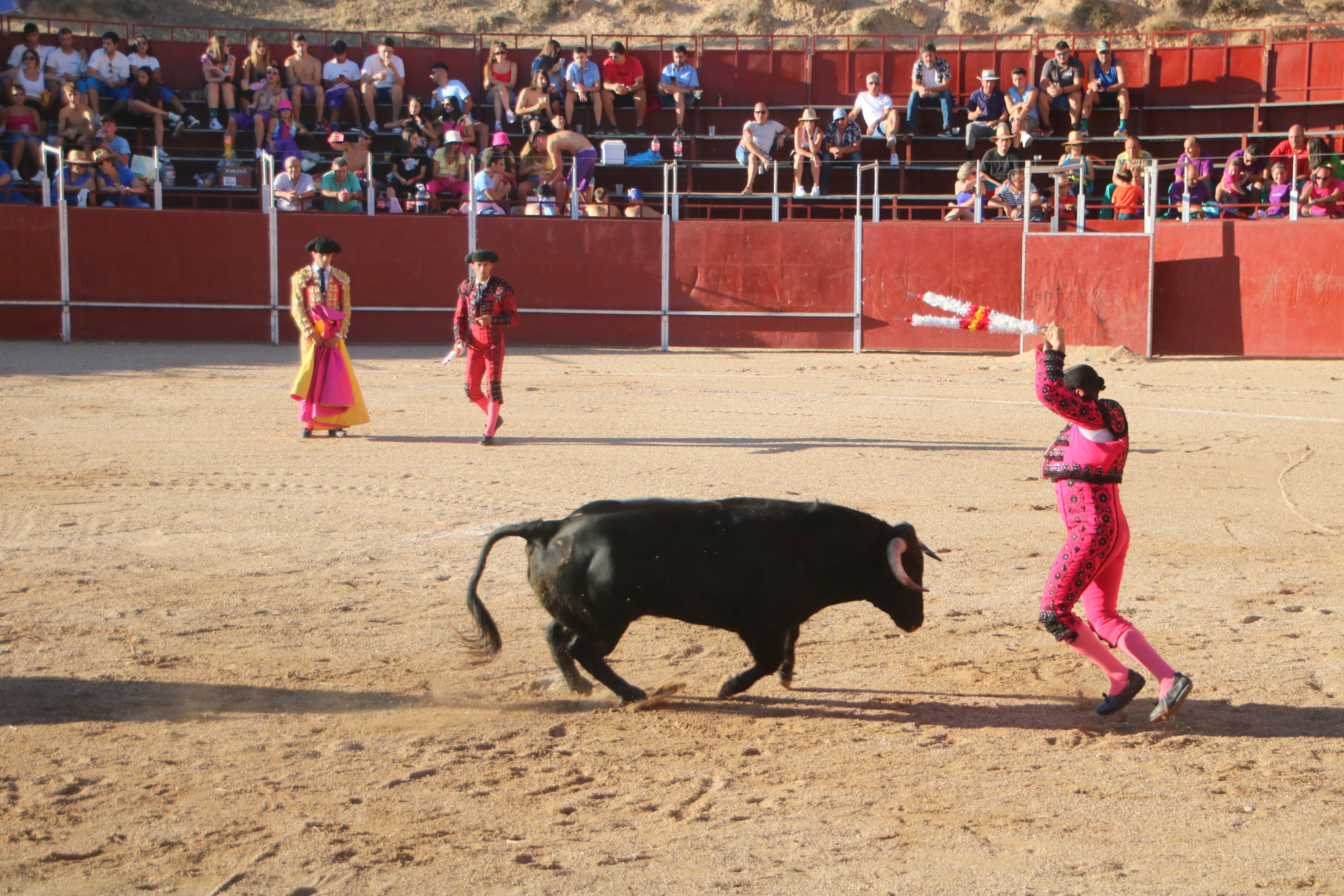 Baltanás celebra unos animados festejos taurinos con motivo de sus fiestas de la Virgen de Revilla