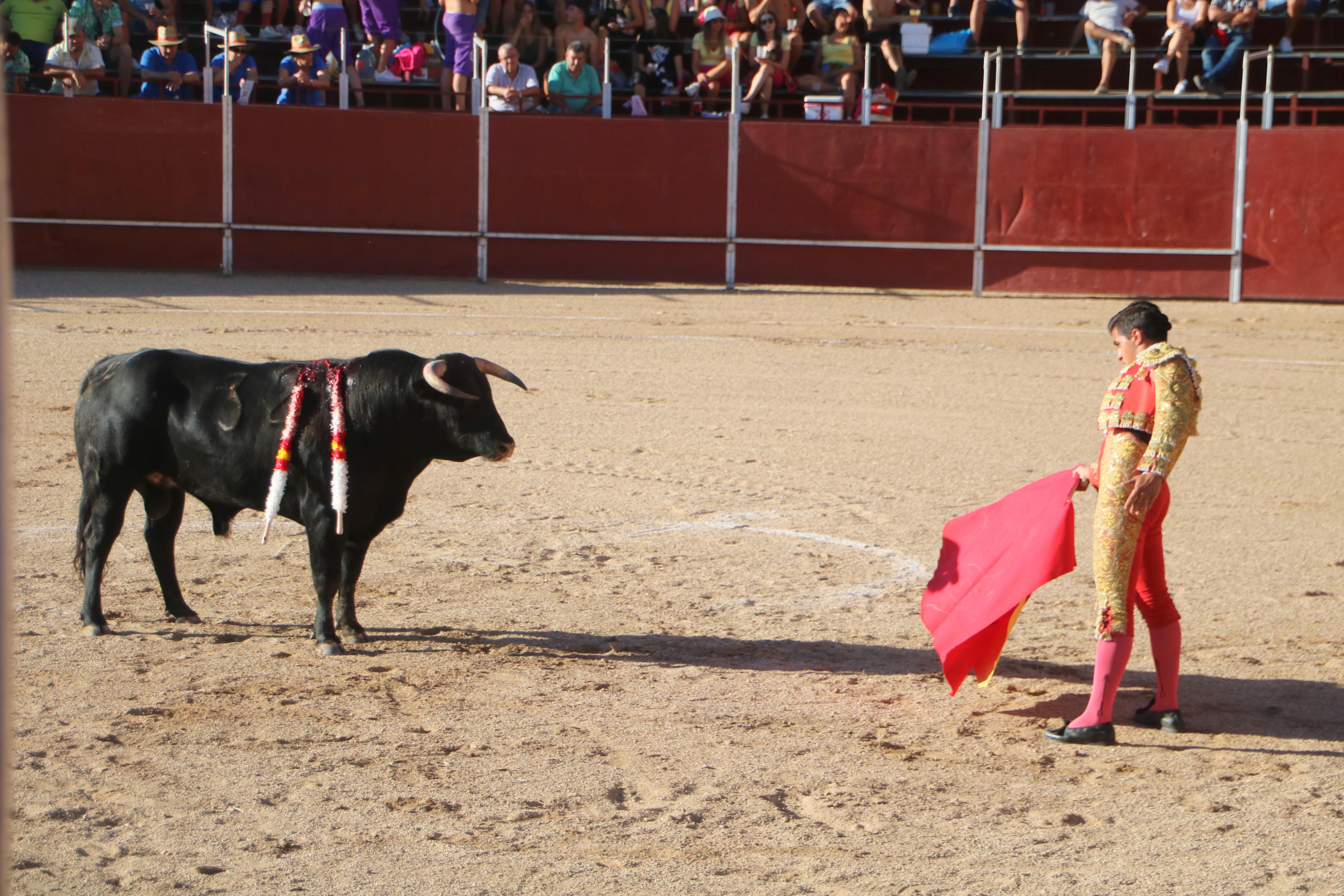 Baltanás celebra unos animados festejos taurinos con motivo de sus fiestas de la Virgen de Revilla