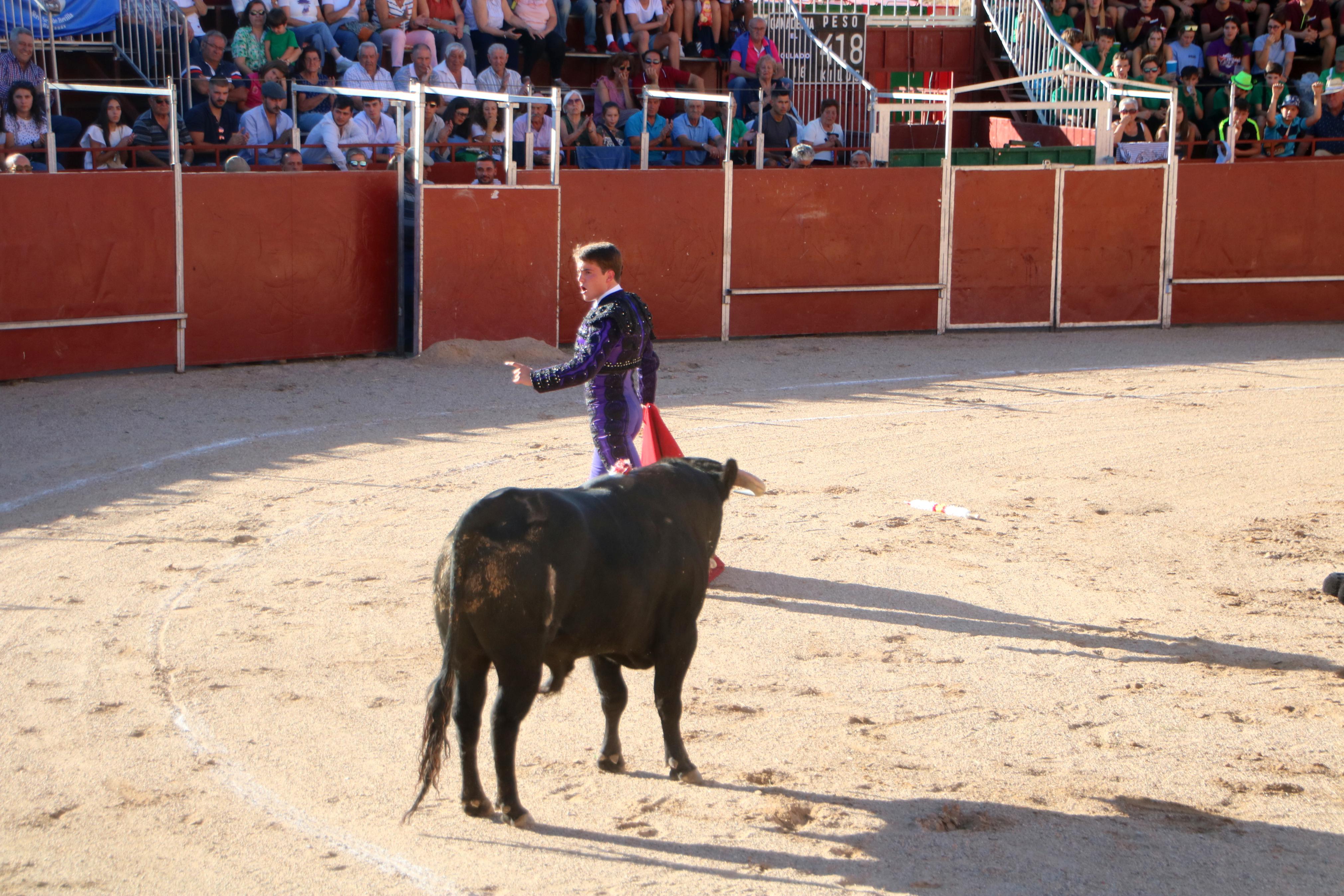 Baltanás celebra unos animados festejos taurinos con motivo de sus fiestas de la Virgen de Revilla