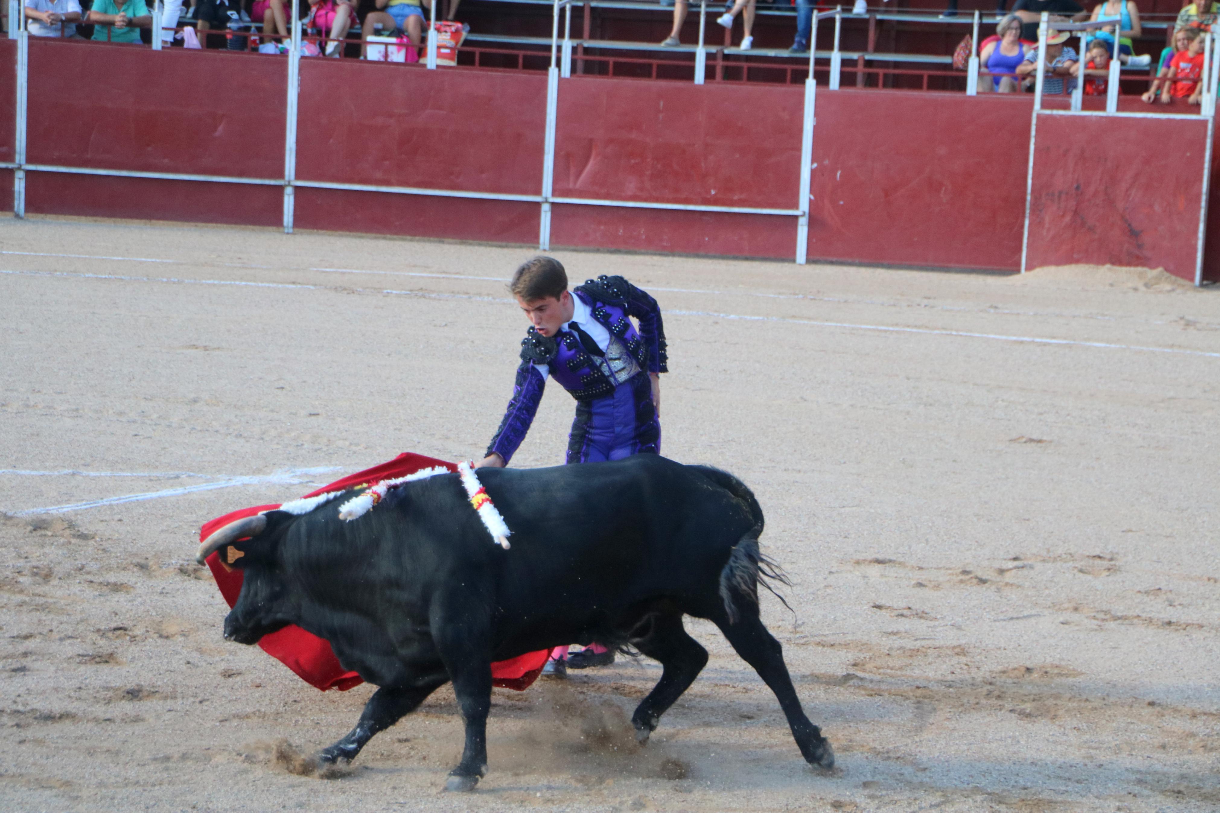 Baltanás celebra unos animados festejos taurinos con motivo de sus fiestas de la Virgen de Revilla