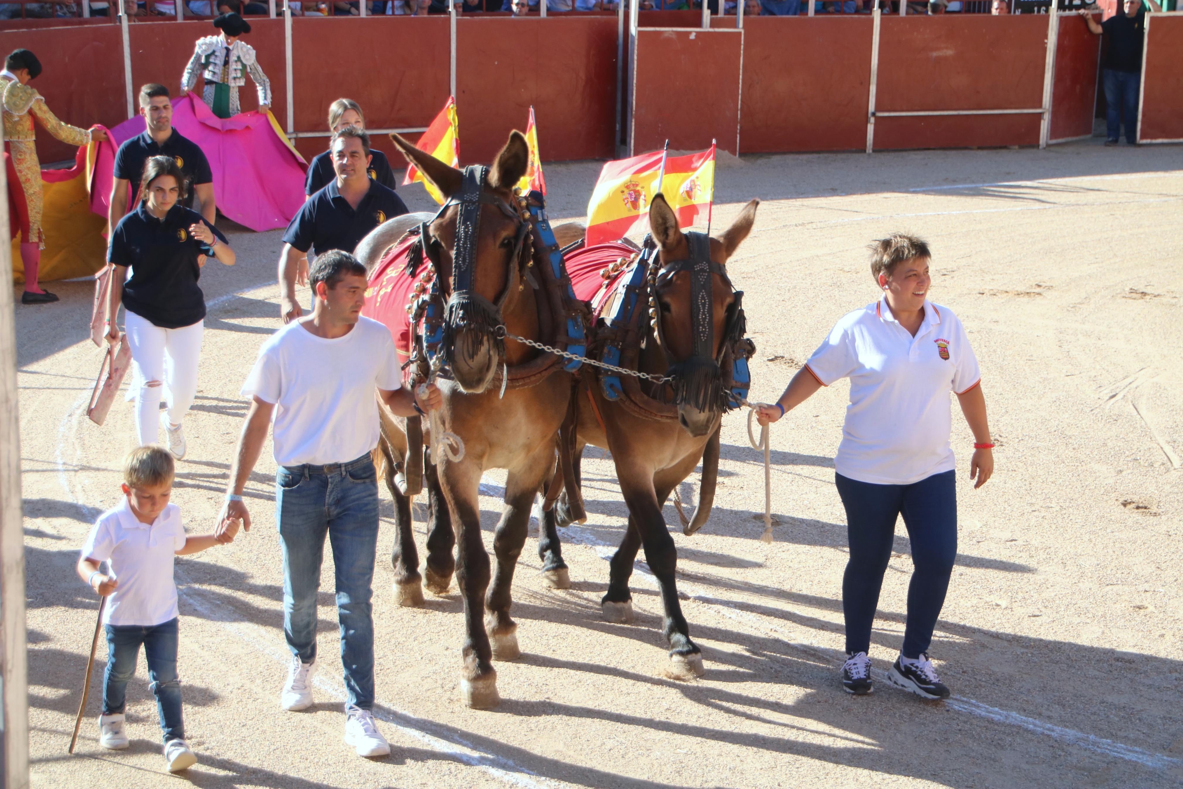 Baltanás celebra unos animados festejos taurinos con motivo de sus fiestas de la Virgen de Revilla