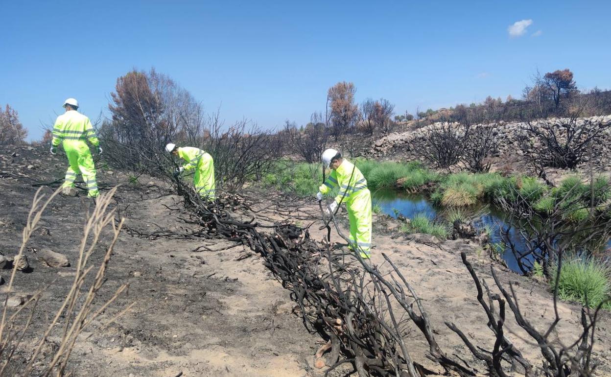 La CHD destina 1,2 millones de euros durante el último año a la conservación de cauces en la provincia de Salamanca