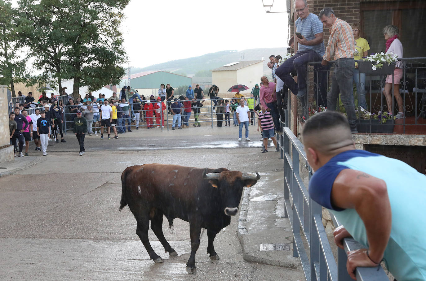 Fotos: Astudillo celebra el Toro del Pueblo