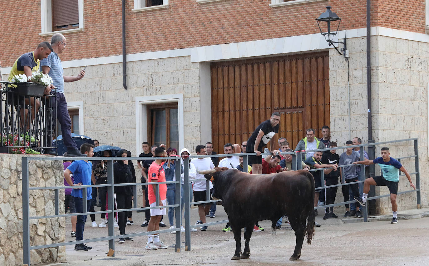 Fotos: Astudillo celebra el Toro del Pueblo