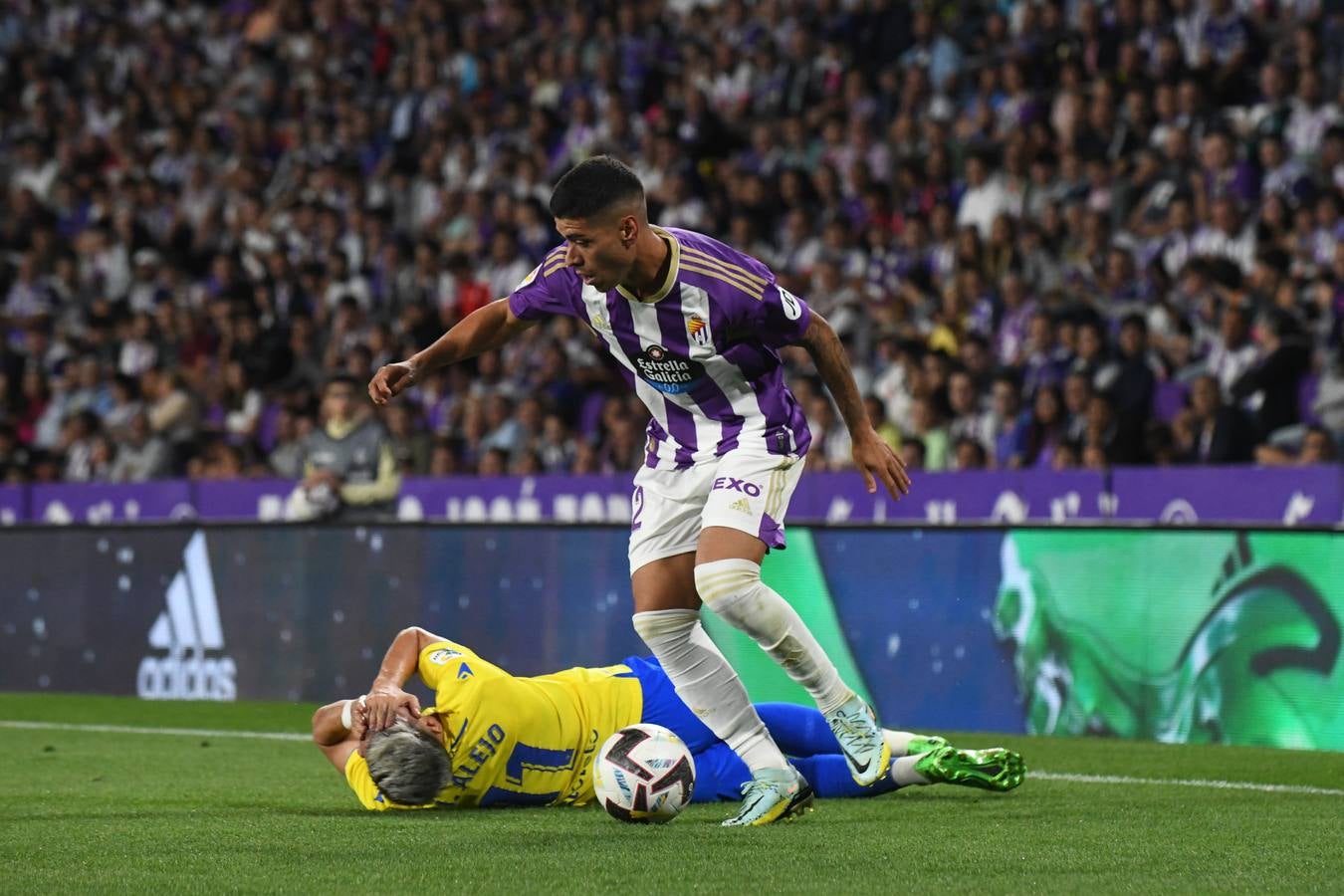 Fotos: Derrota del Real Valladolid ante el Cádiz (1/3)