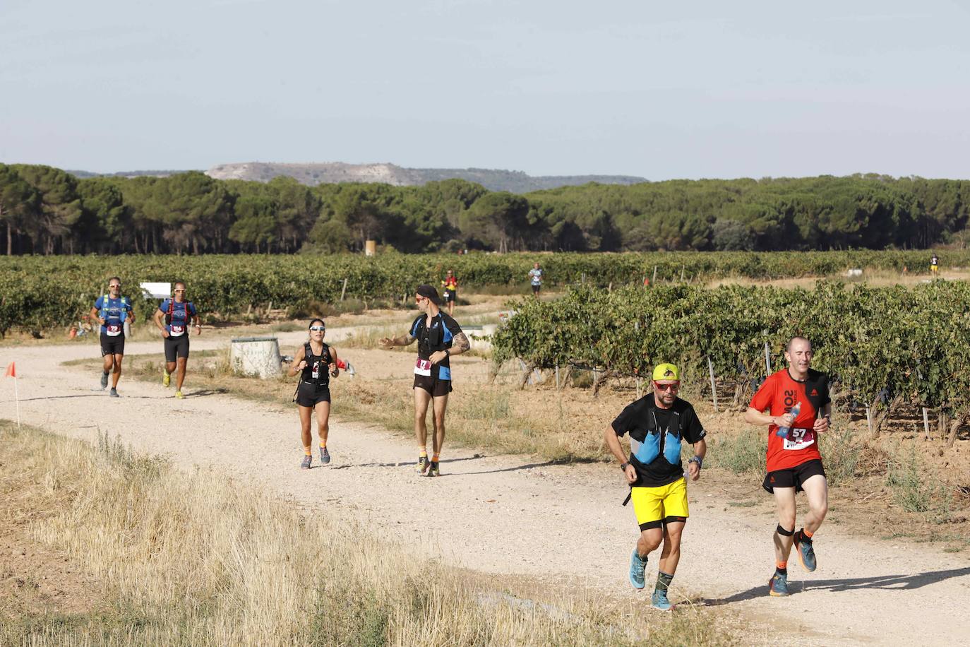 Fotos: Ribera Run Experience une deporte con historia, cultura y enoturismo en Peñafiel