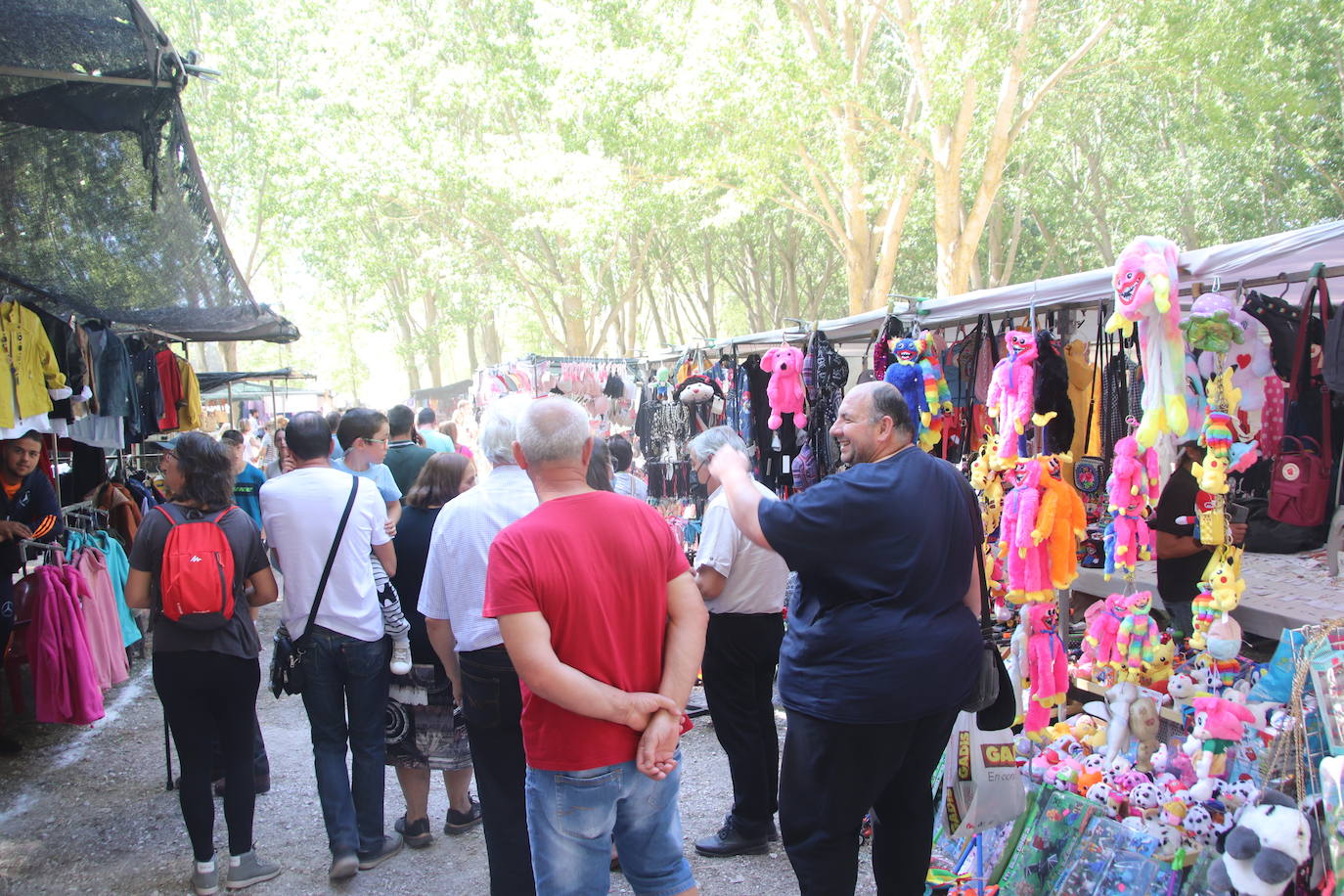Miles de personas, este domingo en la romería de la Virgen del Henar.