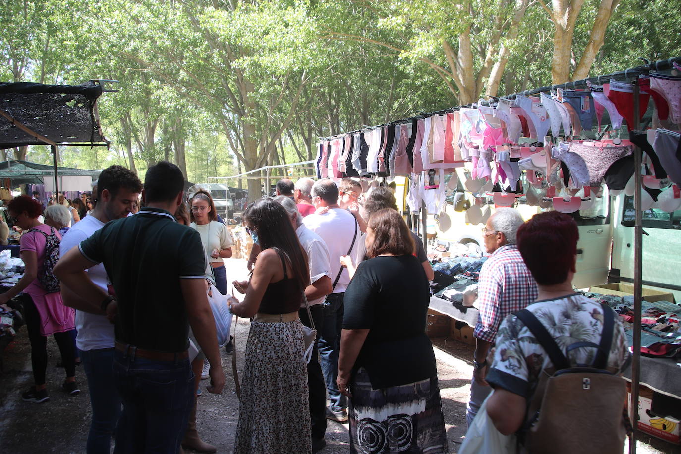 Miles de personas, este domingo en la romería de la Virgen del Henar.