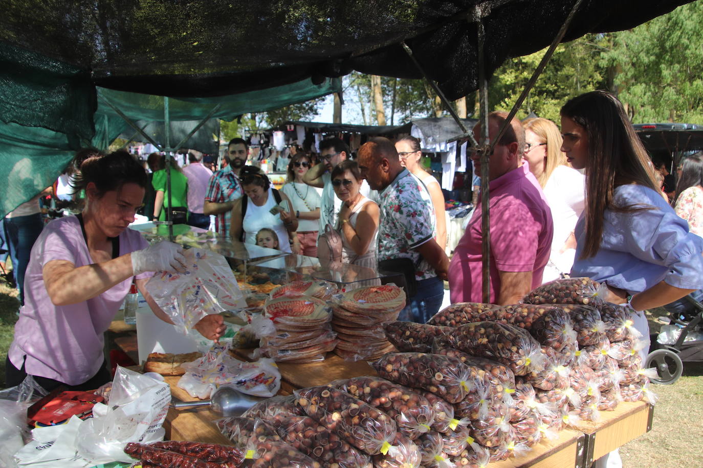 Miles de personas, este domingo en la romería de la Virgen del Henar.