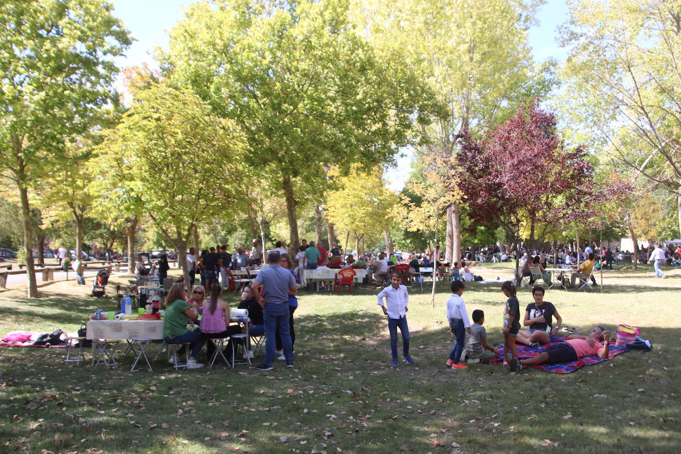Miles de personas, este domingo en la romería de la Virgen del Henar.